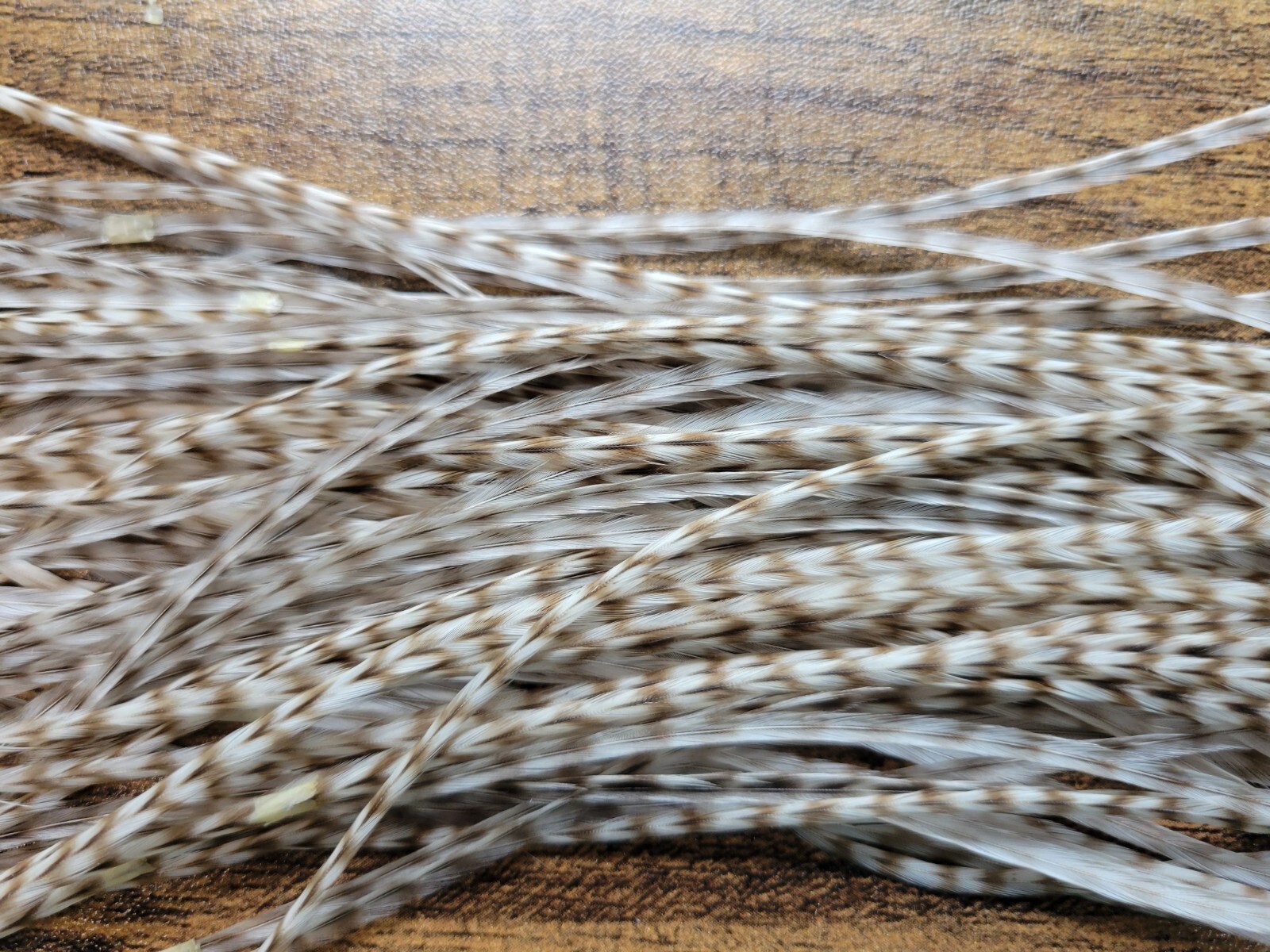 Full or Half Set of Sized DUN GRIZZLY Dry Fly Rooster Saddle Feathers Fly Tying