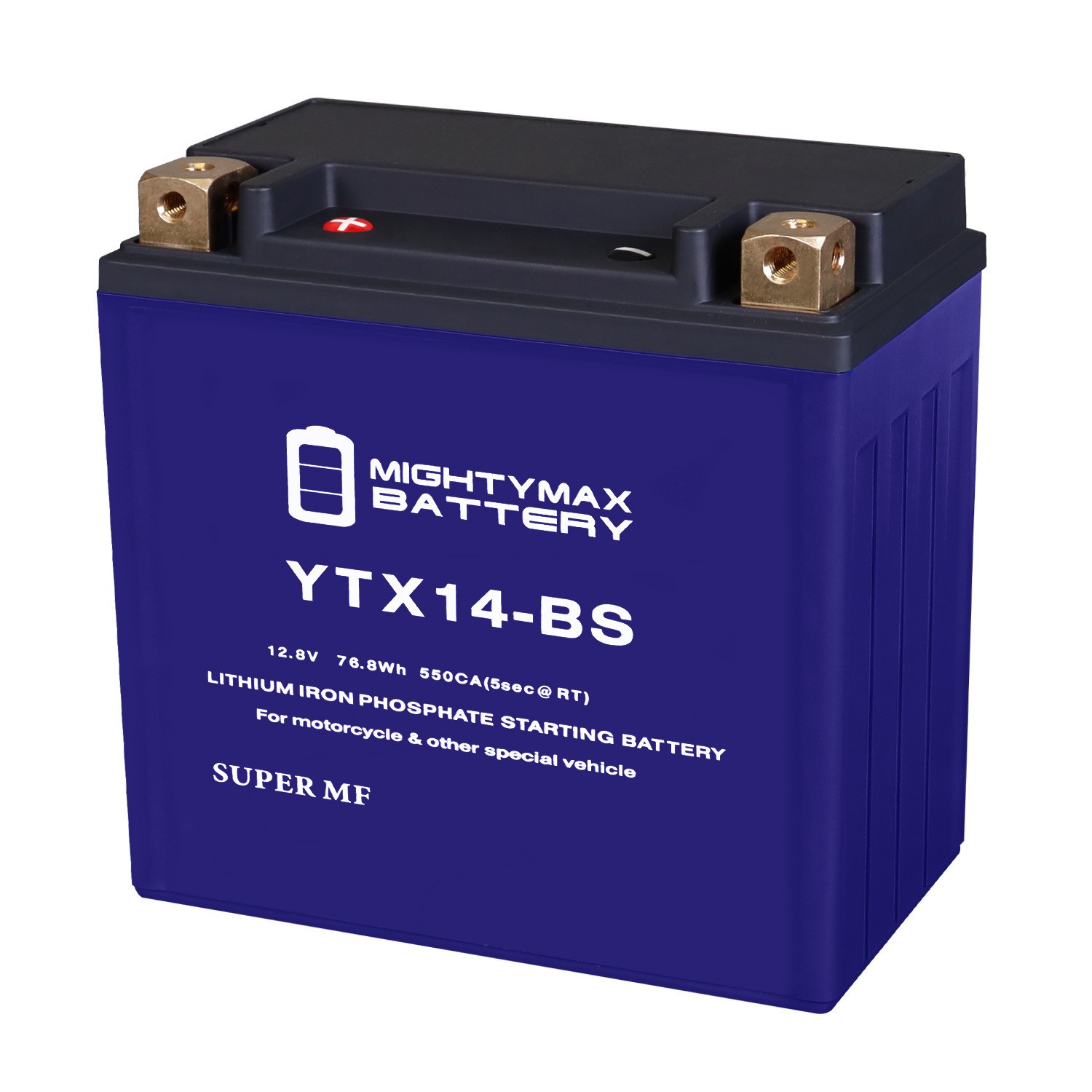 Mighty Max YTX14-BS Lithium Battery Compatible with BMW R1200GS 2005-2013