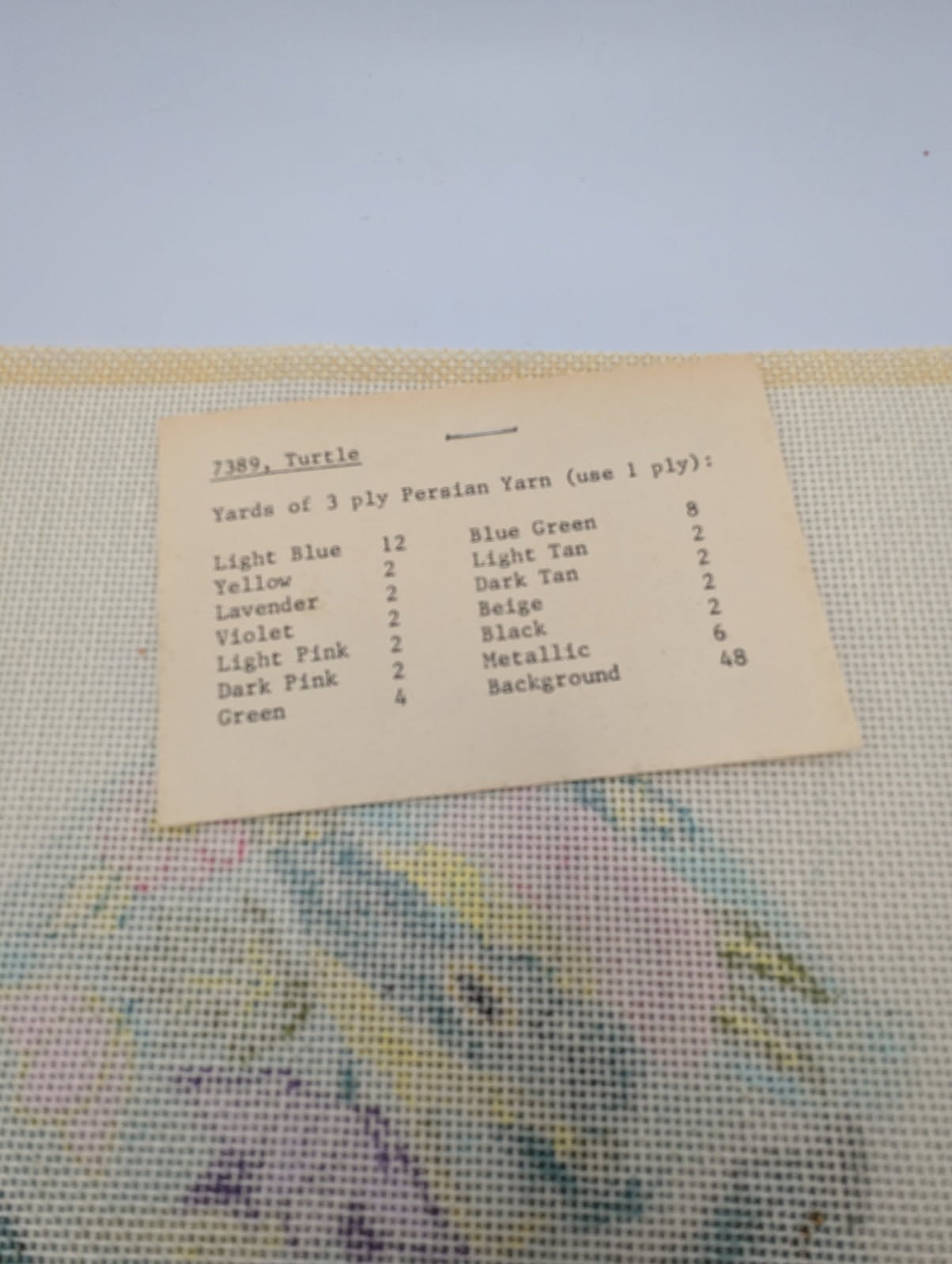 Dielco Custom Needlepoint Design Pattern- Turtle and Snail