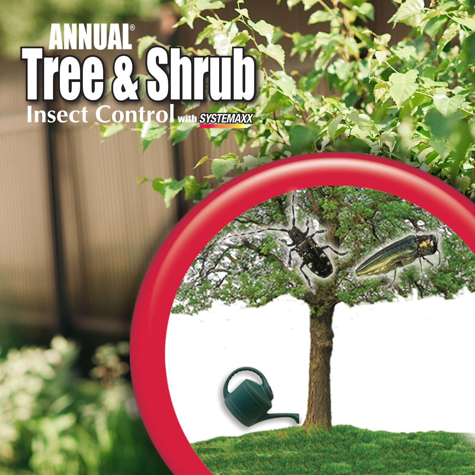 Bonide # 609 32 Oz. Systemic Annual Tree & Shrub Insect Control Concentrate