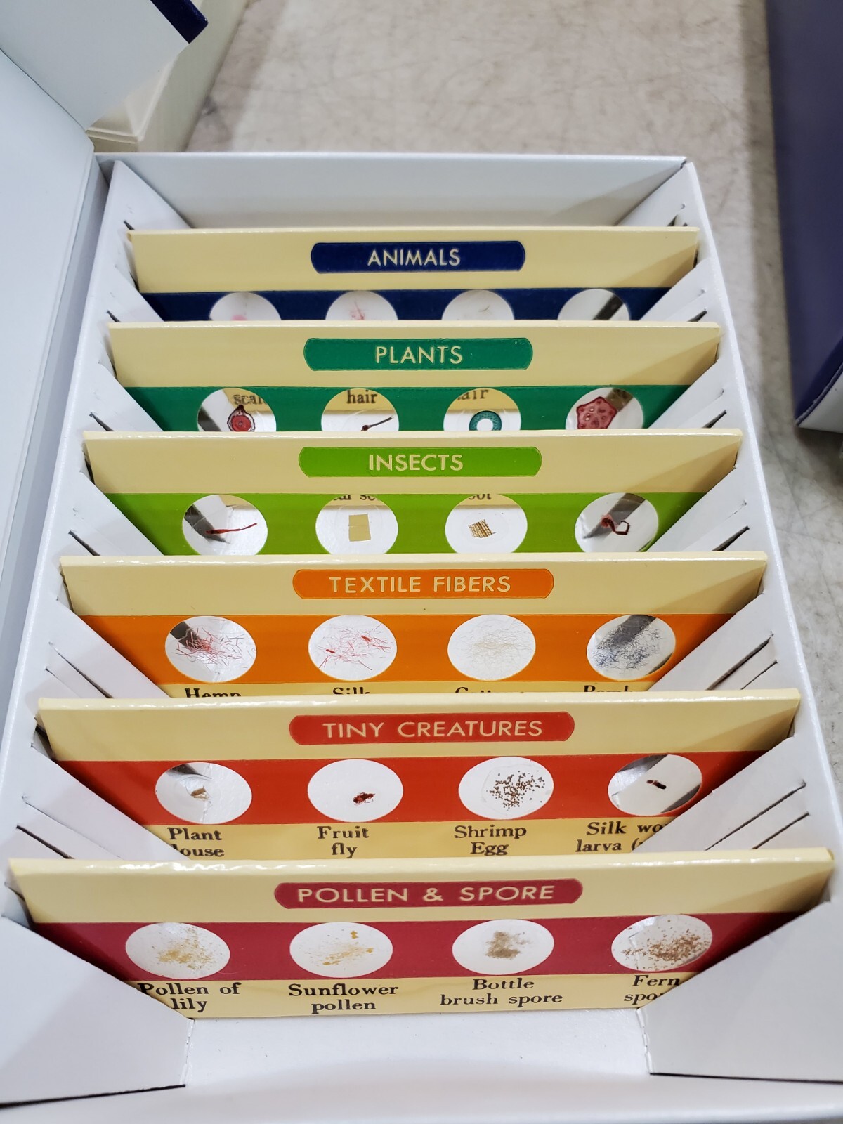 Learning Resources Prepared & Blank Slides, Sets 1 & 2 (LER 2039 2040) Grades 3+