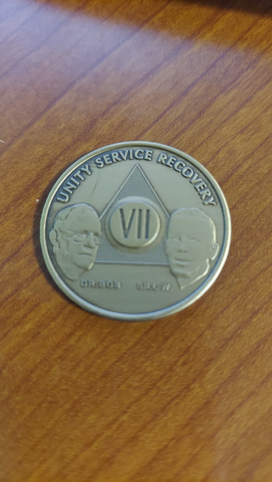 Alcoholics Anonymous AA 7 Month Bronze Medallion Coin Chip Token Sobriety Sober