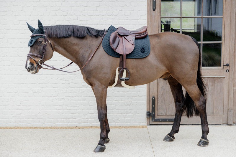 Dion Plaited Combo Bridle