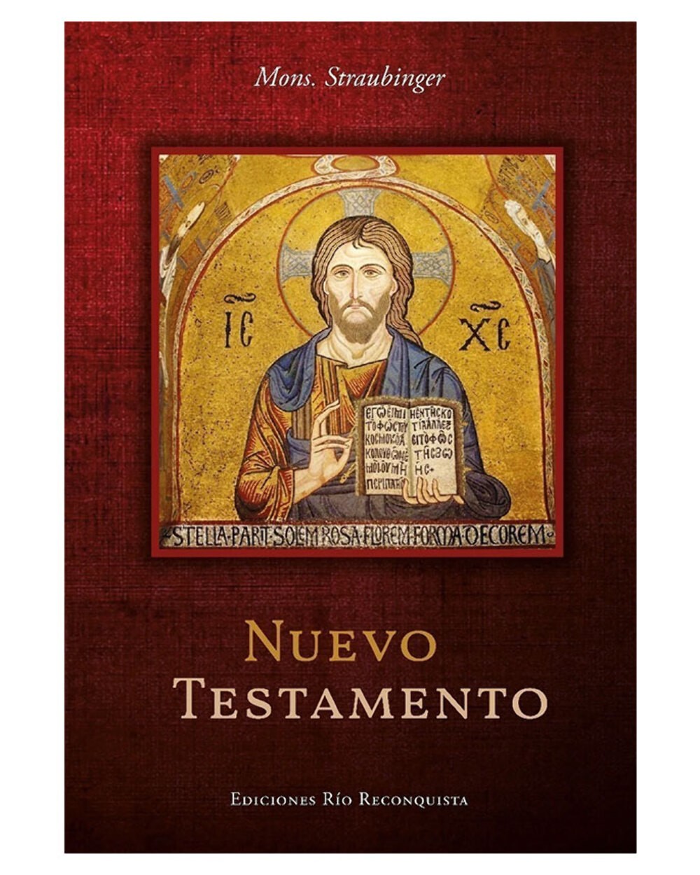 Nuevo Testamento, Traducción Mons. Straubinger - Tapa blanda, Español (NUEVO)
