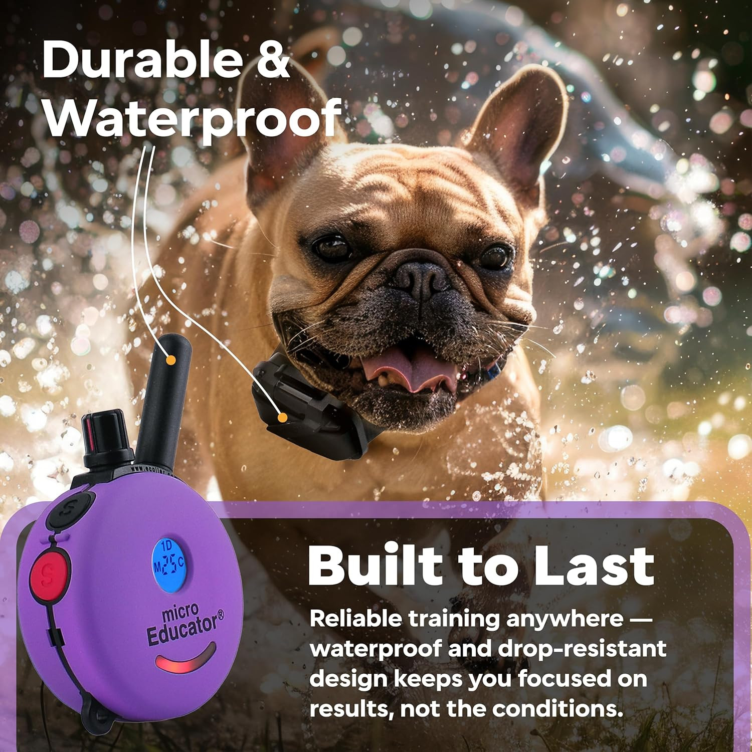 ME-300 Micro E Collar for Dog Training with Remote - 1/3 Mile Range, Waterproof,