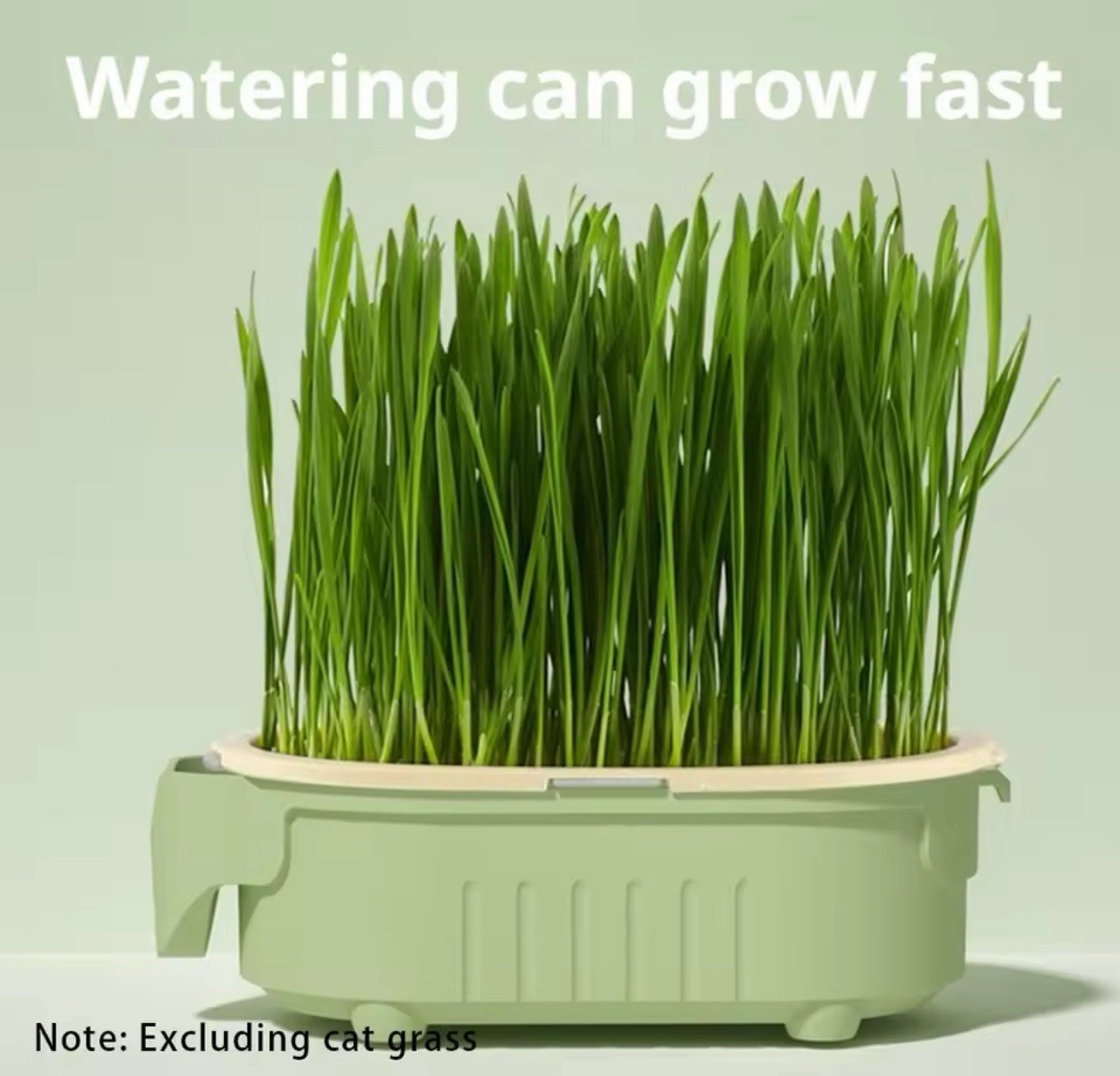 Cat Grass Planter Hydroponic Growing Tray Indoor Soilless Plant Box