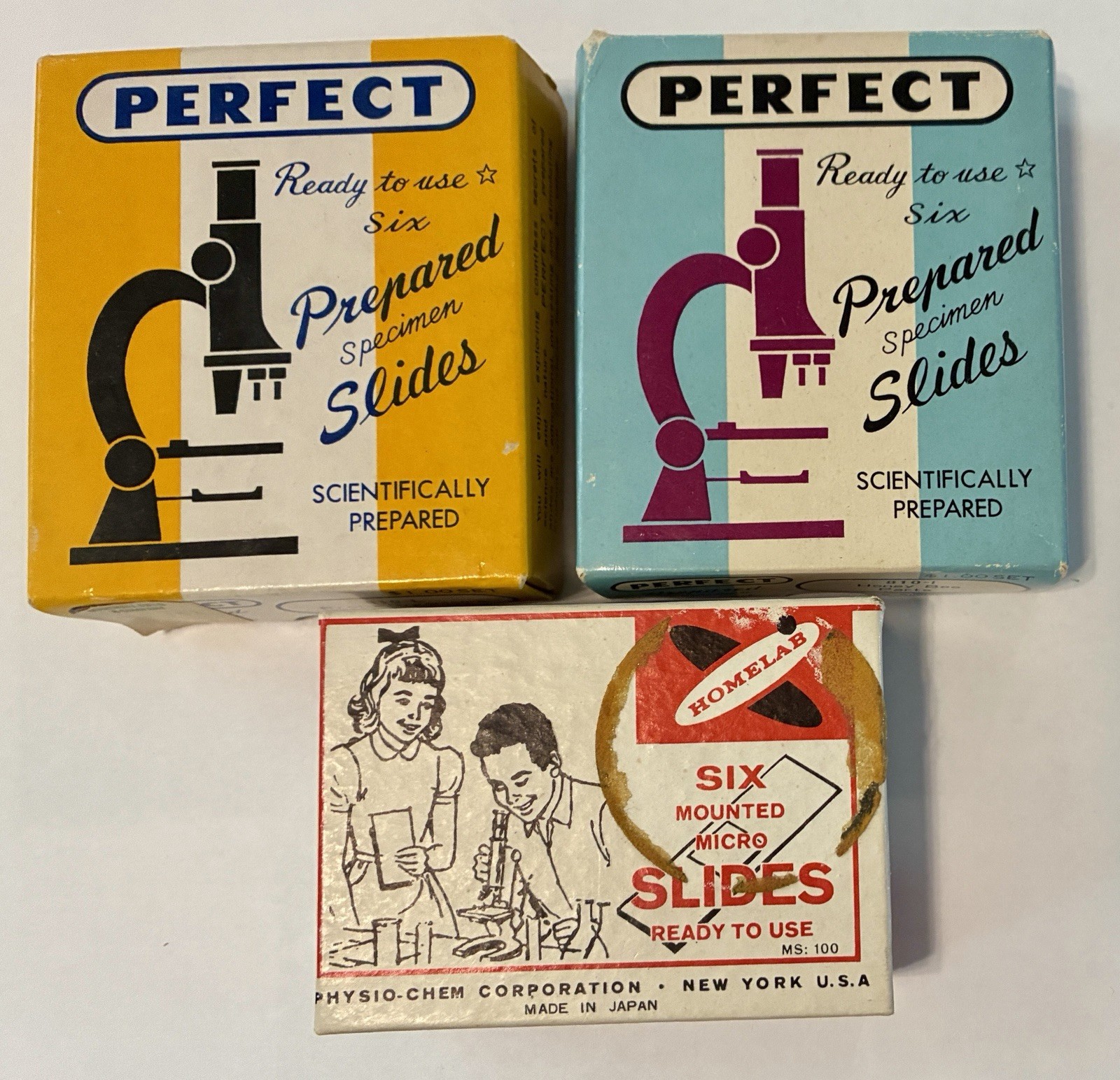 Vintage Prepared Microscope Slides Lot 18 Perfect Homelab Japan 3 Boxes