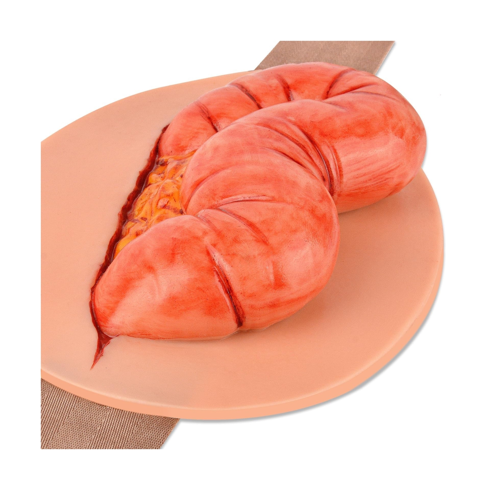 Eviscerated Intestine Simulator, Open Abdominal Wound Packing Trainer, Large ...