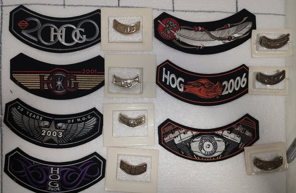 Lot Of 7 Harley Davidson Owner Group Hog  Patches And Pins  2000-2007, 2009,2010