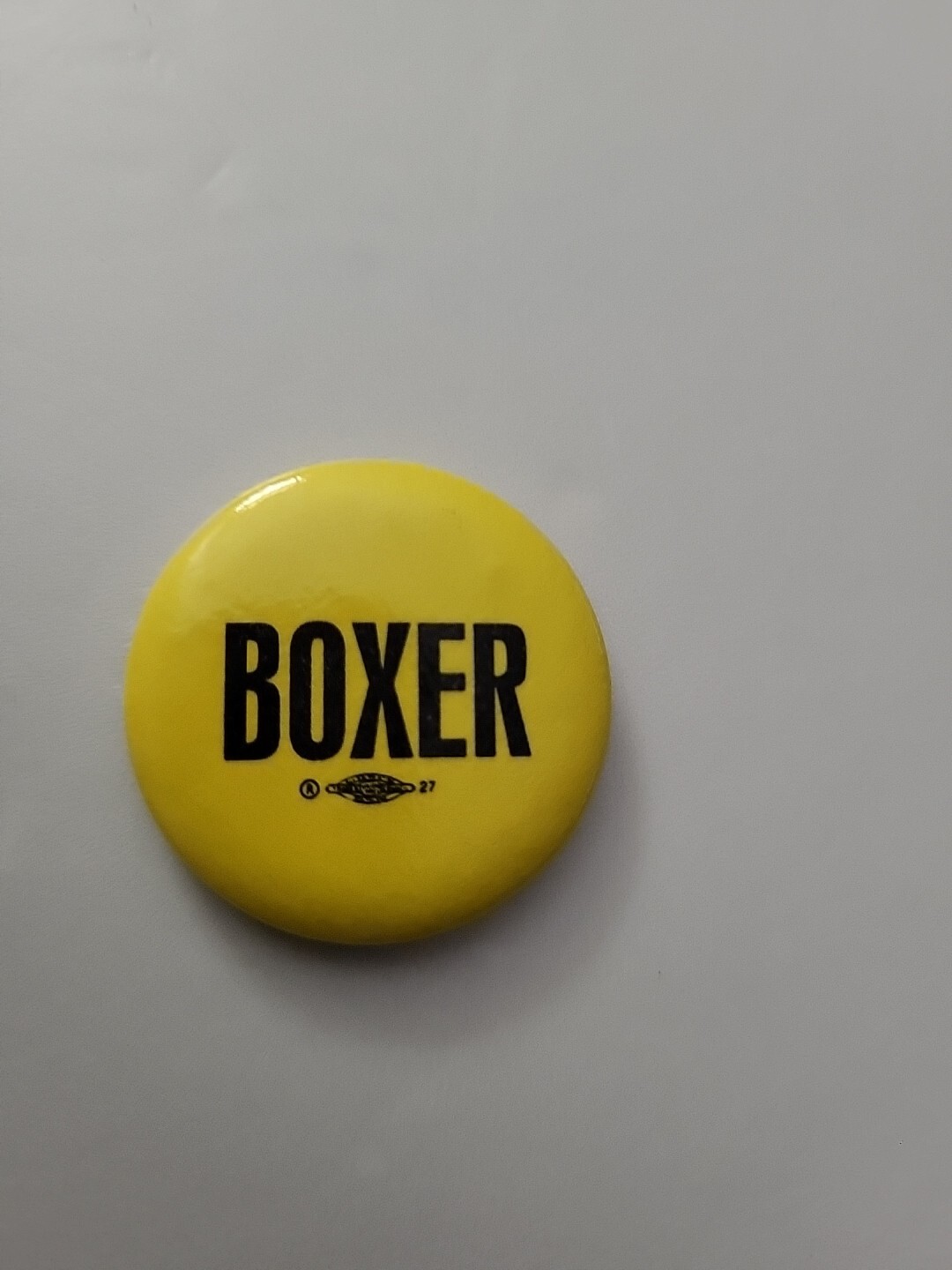 Barbara Boxer Campaign Pin