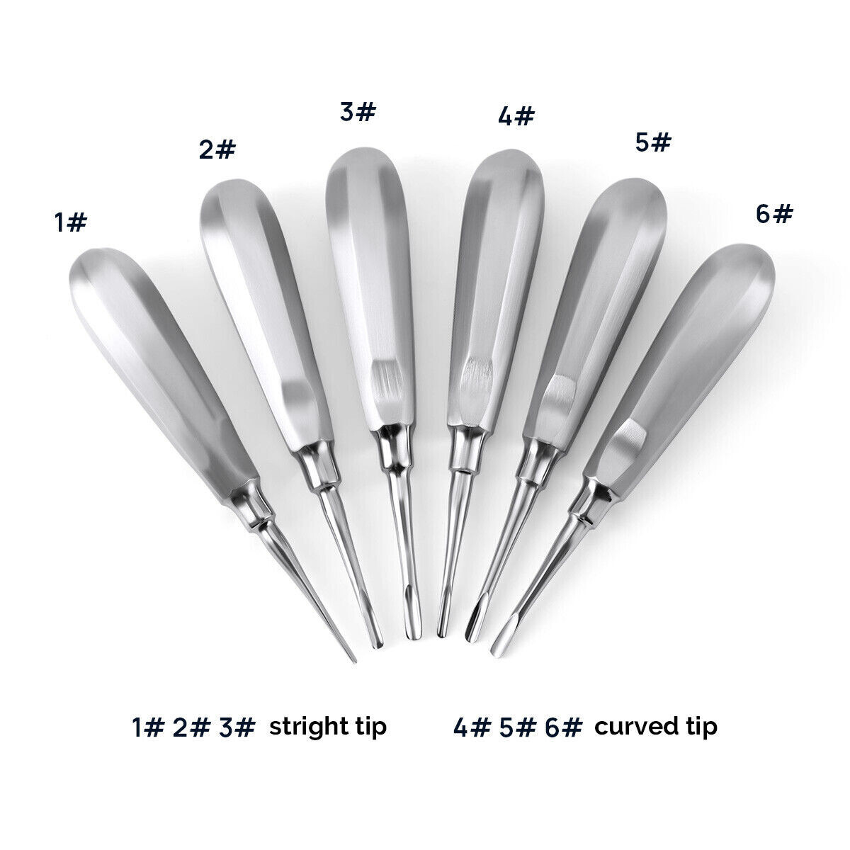 6 Pcs Dental Tooth Extraction Root Elevators #1-6 Set Luxating Luxation Elevator