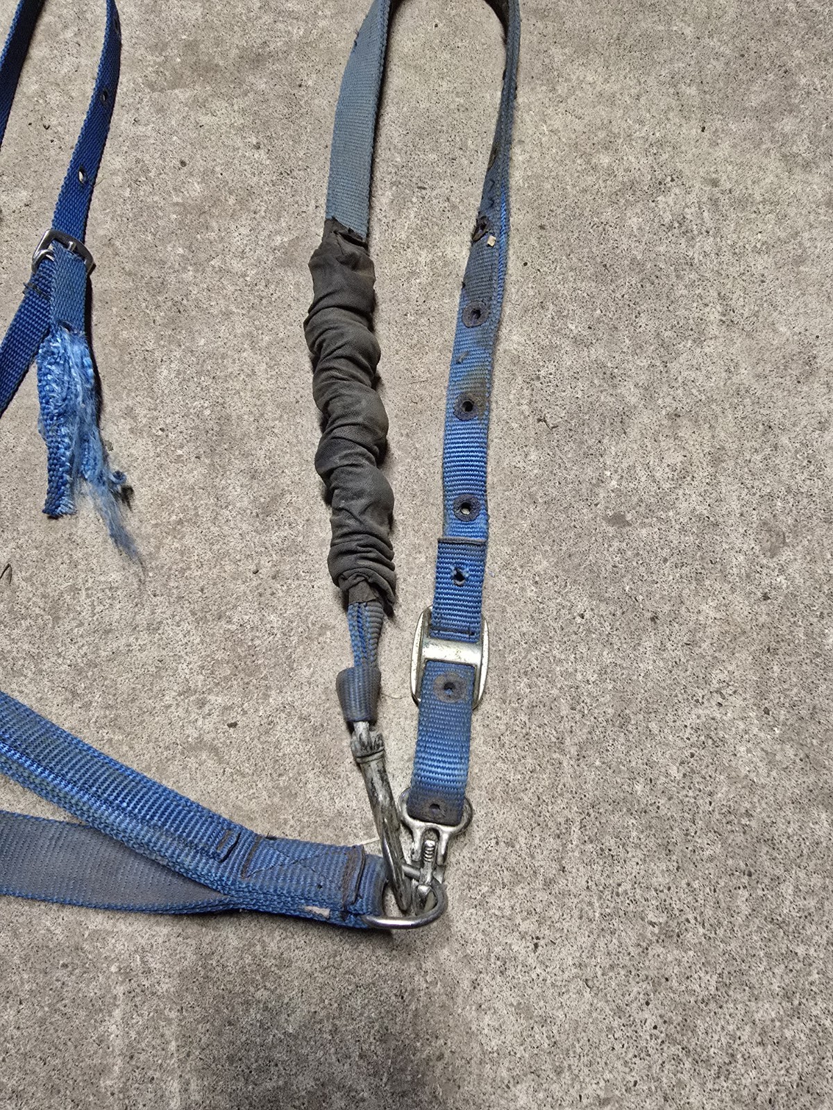 Blue Nylon Horse Sized Tie Down Used