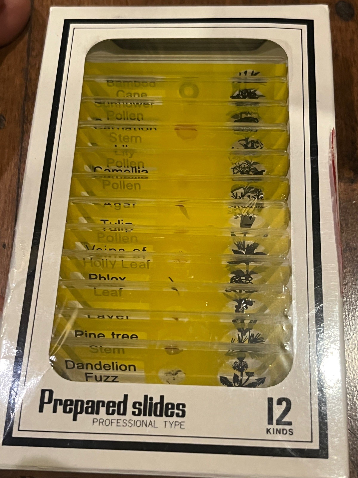 Box Of Prepared Slides - Plants !