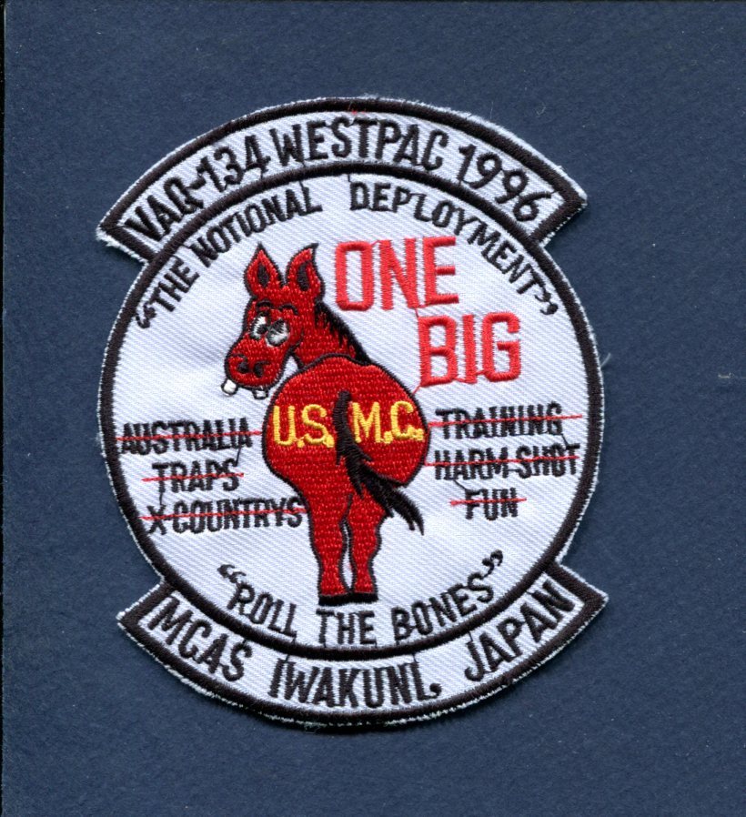 VAQ-134 GARUDAS WESTPAC 96 US NAVY Grumman EA-6B PROWLER Squadron Cruise Patch