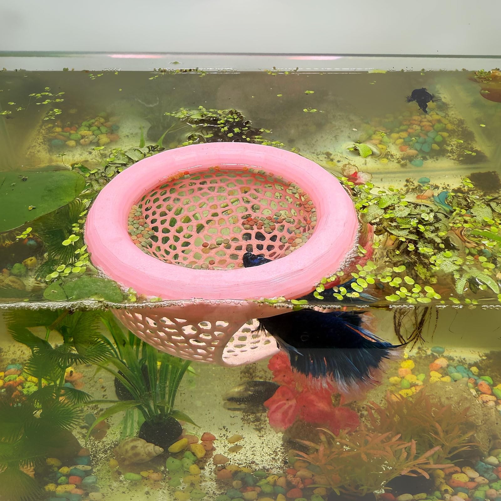 Aquarium Floating Betta Fish Skins, Betta or Shrimp Feeder, Cave and Hammock,...
