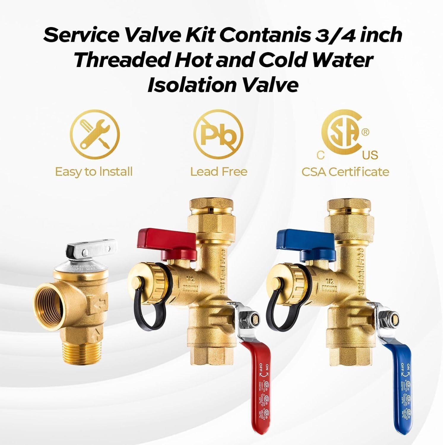 FOGATTI 3/4 Inch IPS Isolator Tankless Water Heater with Pressure Relief Valve