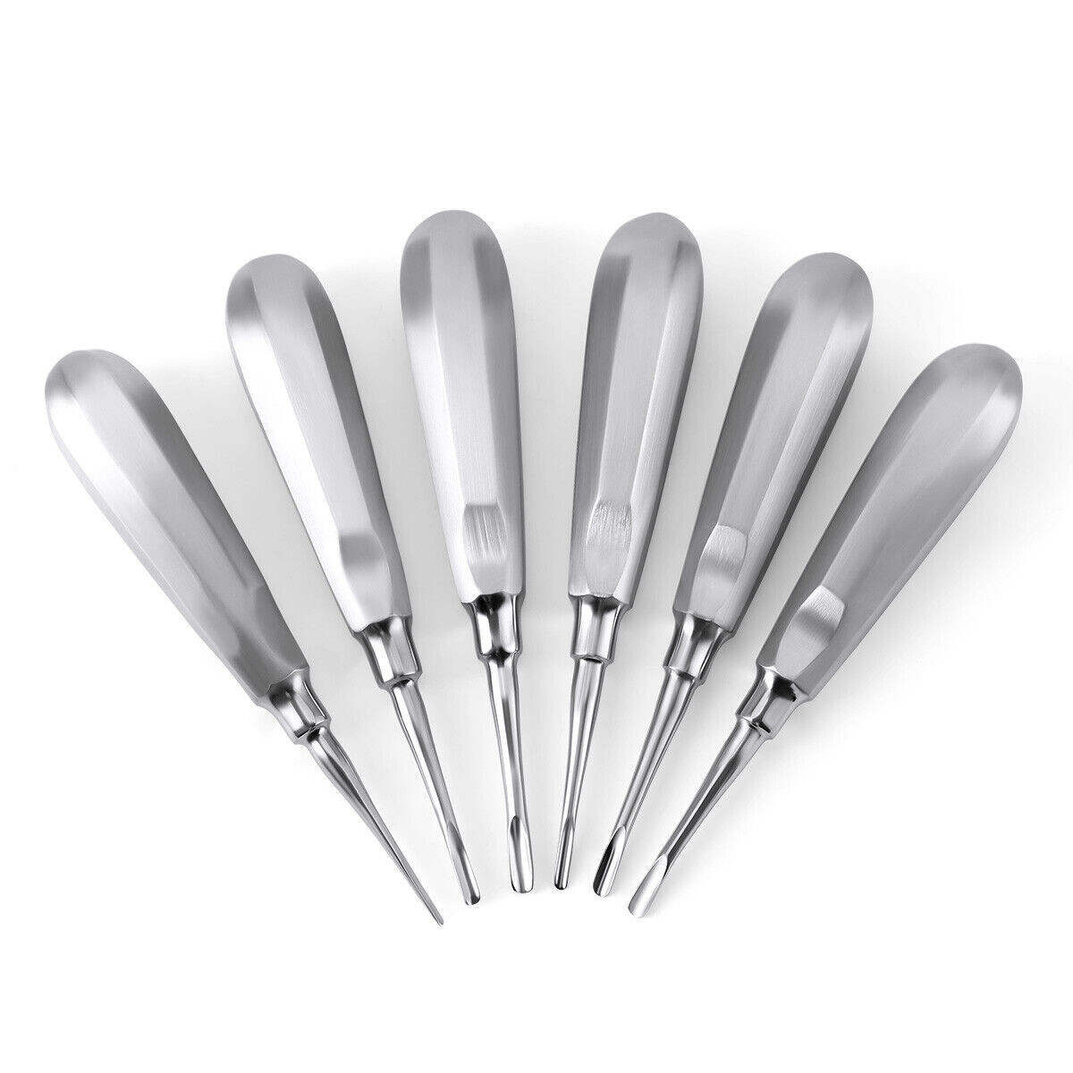 6 Pcs Dental Tooth Extraction Root Elevators #1-6 Set Luxating Luxation Elevator
