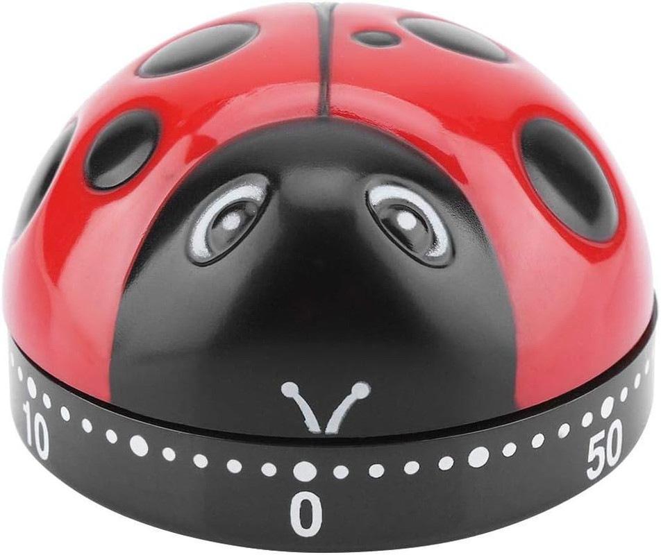 Cute Shape Kitchen Timer 60 Minutes Timer with Loud Ring Mechanical Wind-Up Time