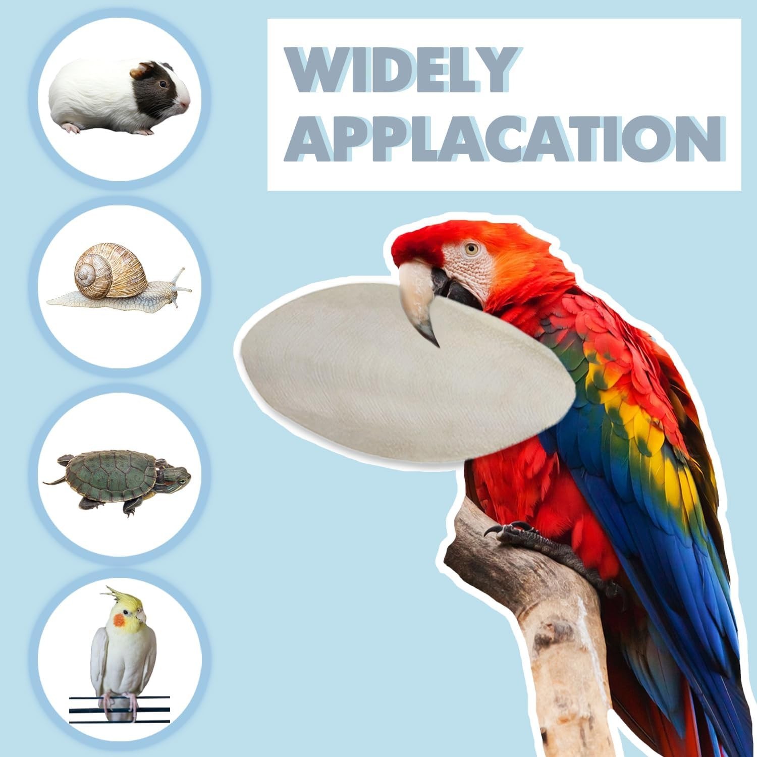 3.5"-4" Cuttlebone for Birds Parakeets, Cuddle Bone with Metal Clip, Cuttlefi...