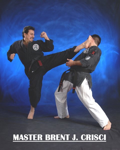 JUI JITSU & CHI-NA LOCKS & THROWS VOL #2 Brent Crisci Kosho Ryu Kempo store GTC
