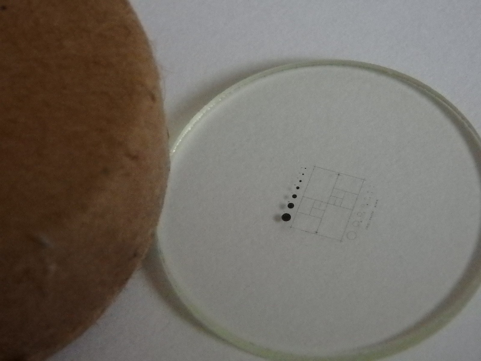 Eyepiece graticule 21mm for microscope ; solid and hollow dots + grid