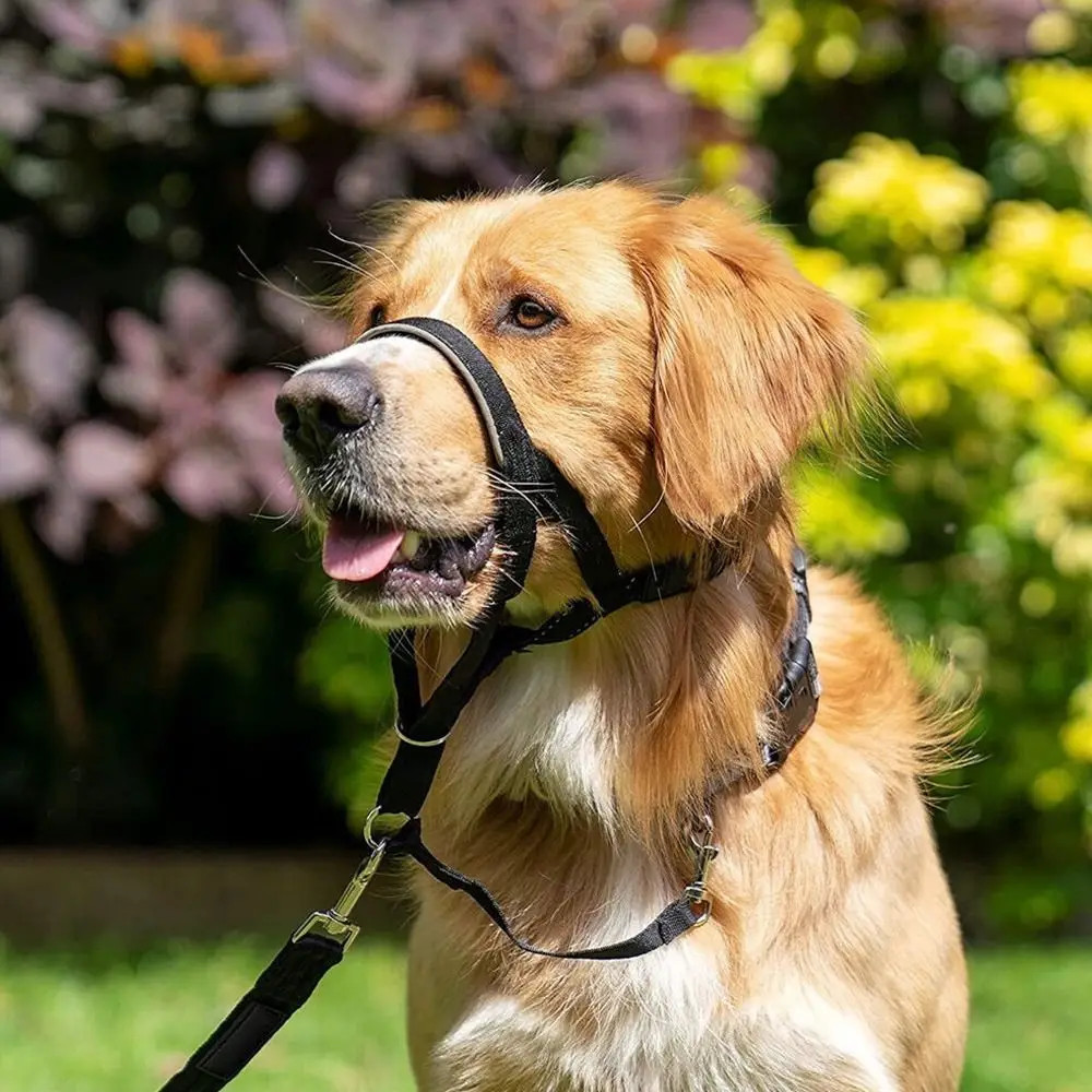 Adjustable Anti Barking Dog Halter Non Pull Nylon Leader Harness Dog Head Collar