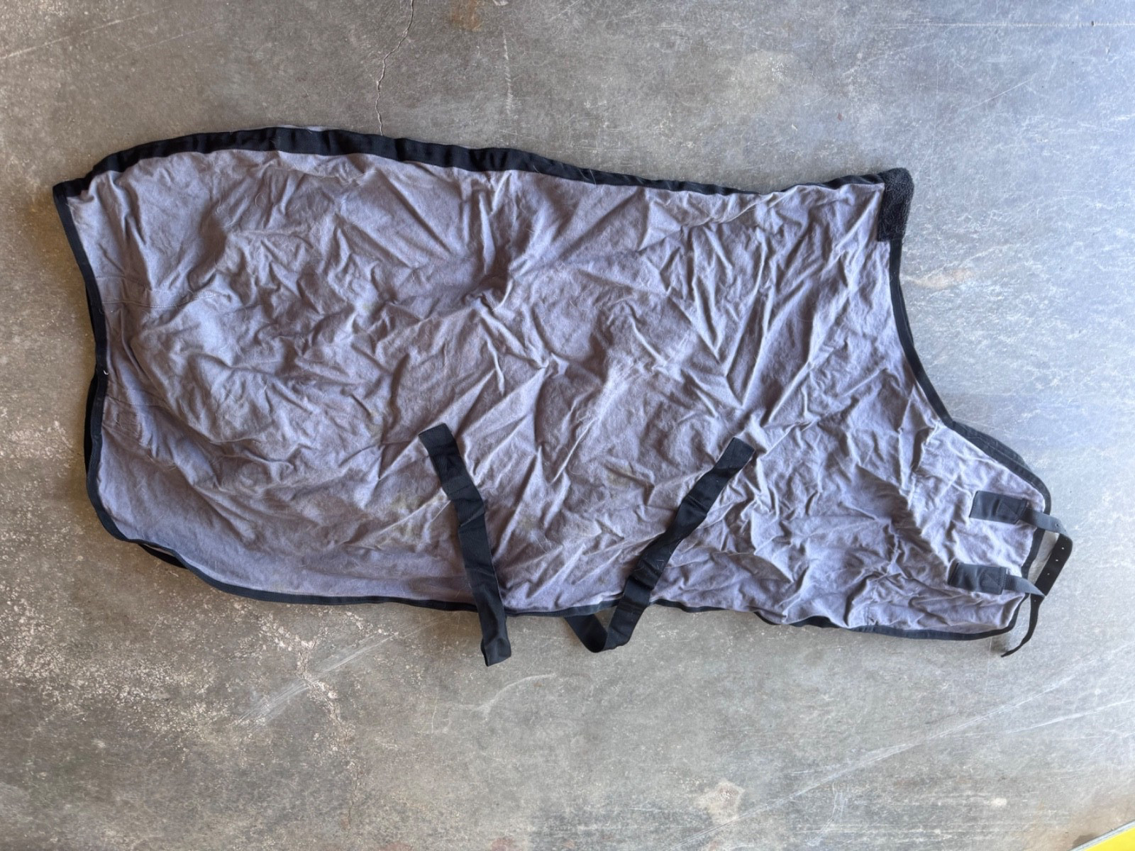 Dover Saddlery Rider’s International Stable Sheet grey/black 72