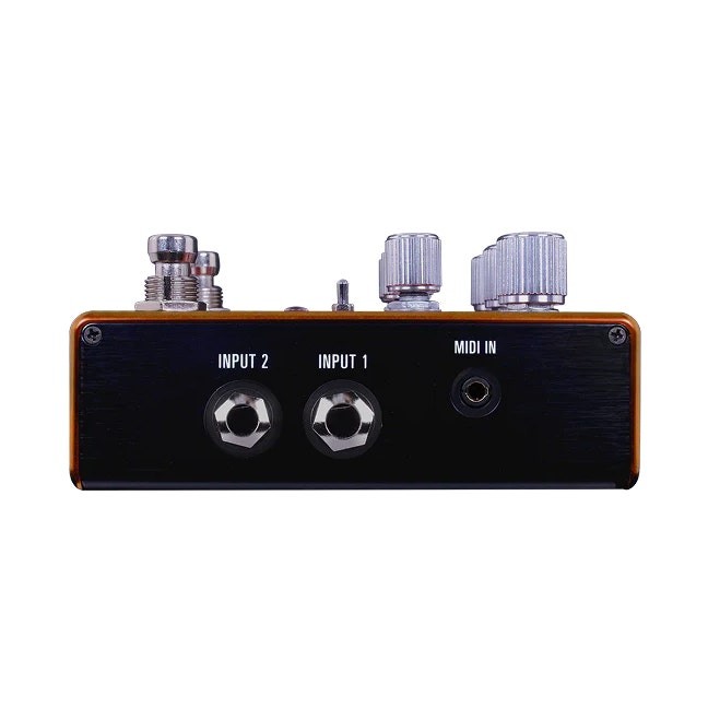 Source Audio Pathways Reverb & Tremolo Guitar Effect Pedal