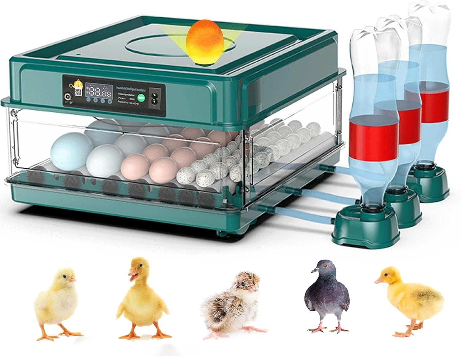 Intelligent Poultry Incubator - 38 Eggs, Automatic Turner & Temperature Control