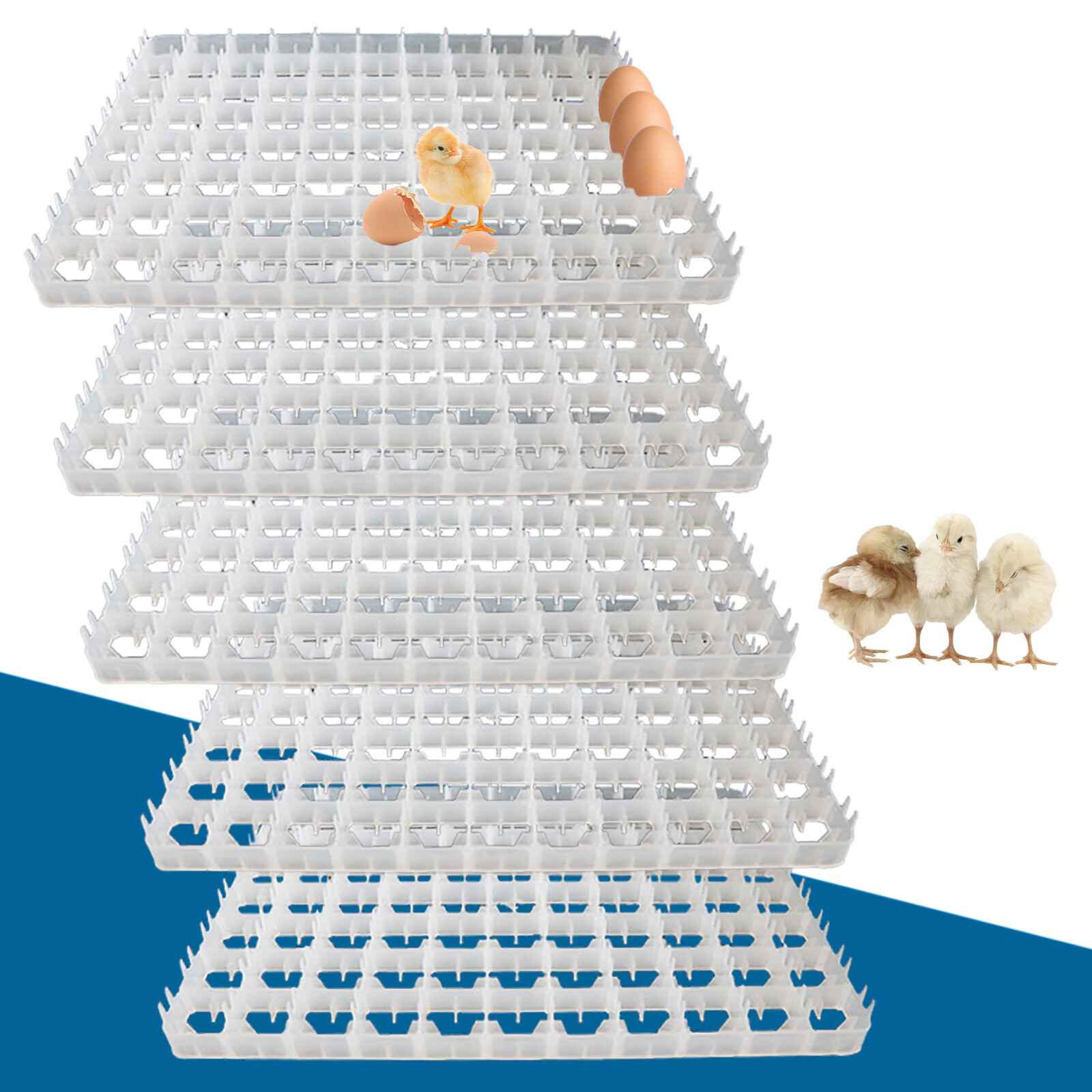 5 PCS Egg Incubator Trays, Egg Hatcher Storage Container 50*36*3cm（88 Eggs）