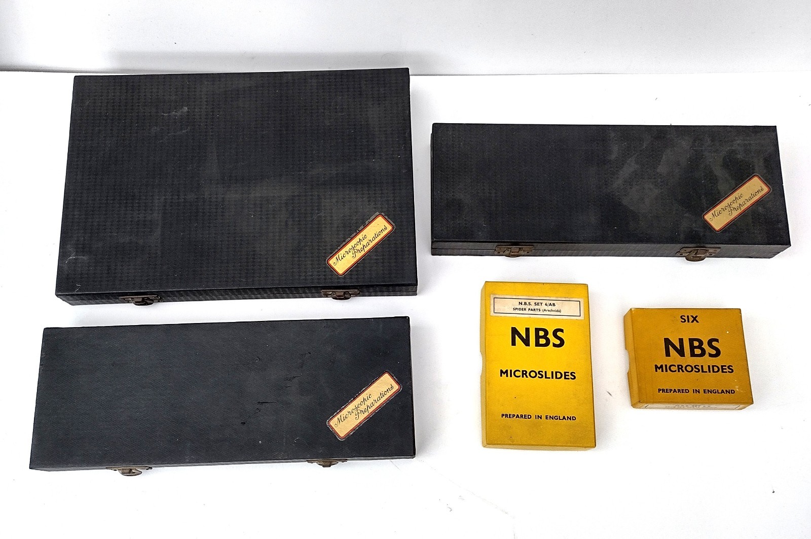 Microscope slides: petrology, histology, entomology etc