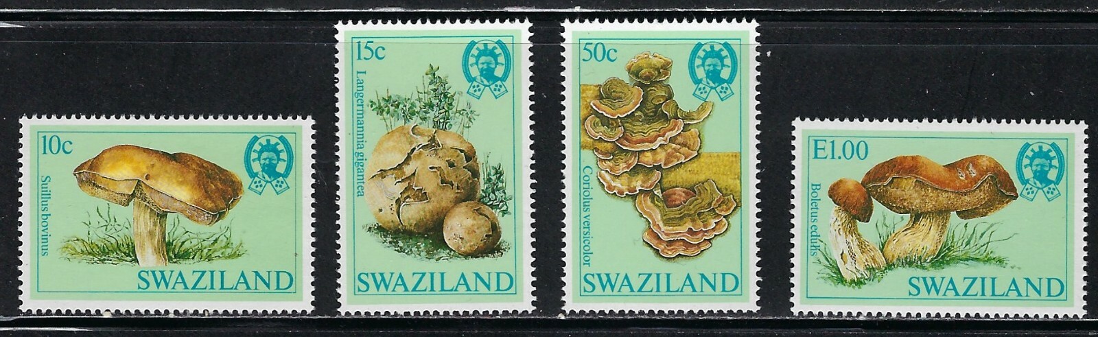 1984 MNH Set of Stamps from Swaziland Fungi,  CV $13.00.......14Y....... A-915-y