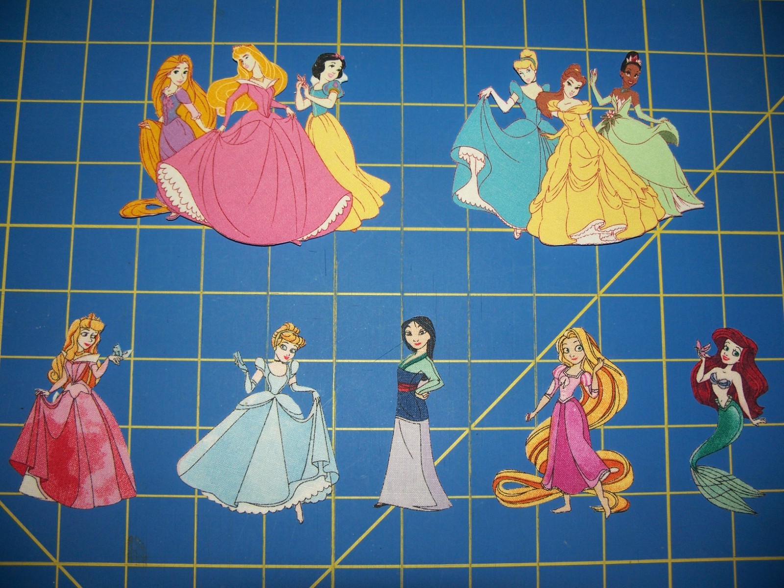 Iron on Appliques - Disney Princesses (2 Options Available)