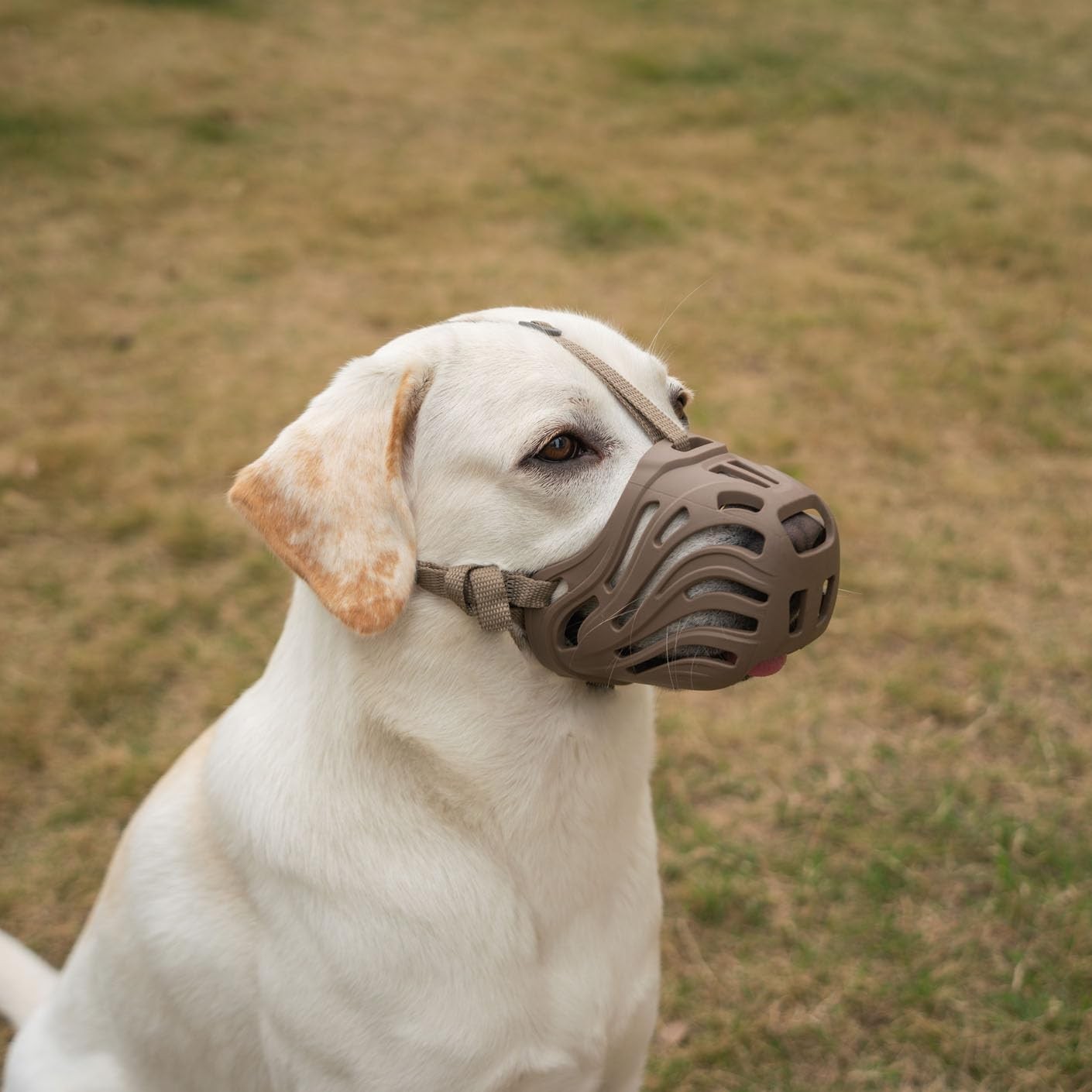 Diketone Dog Muzzle for Large Dogs Silicone Dog Muzzle Coffee M-5