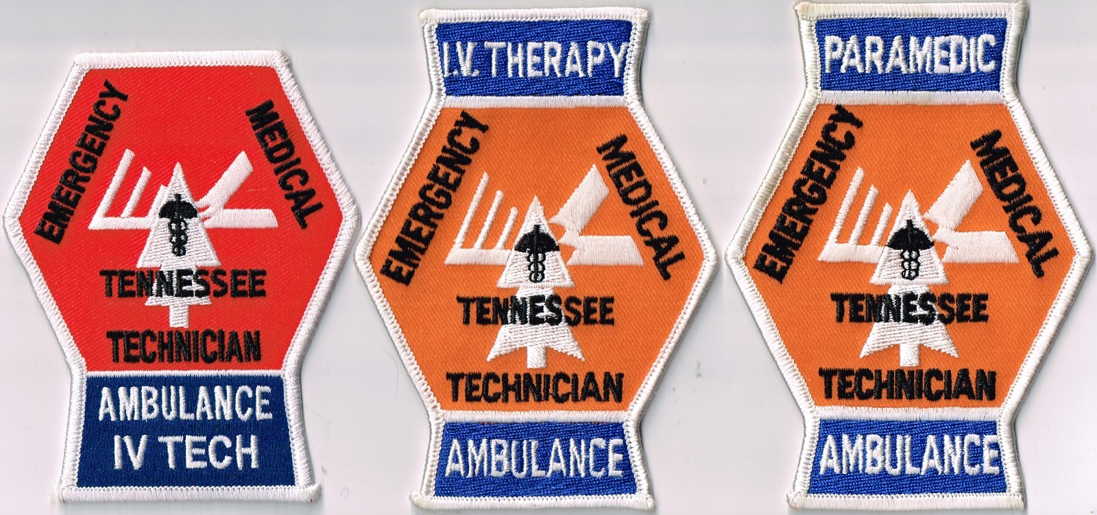 Pick 1 Sullivan County, TN - EMT  patch: IV Tech; IV Therapy; or Paramedic