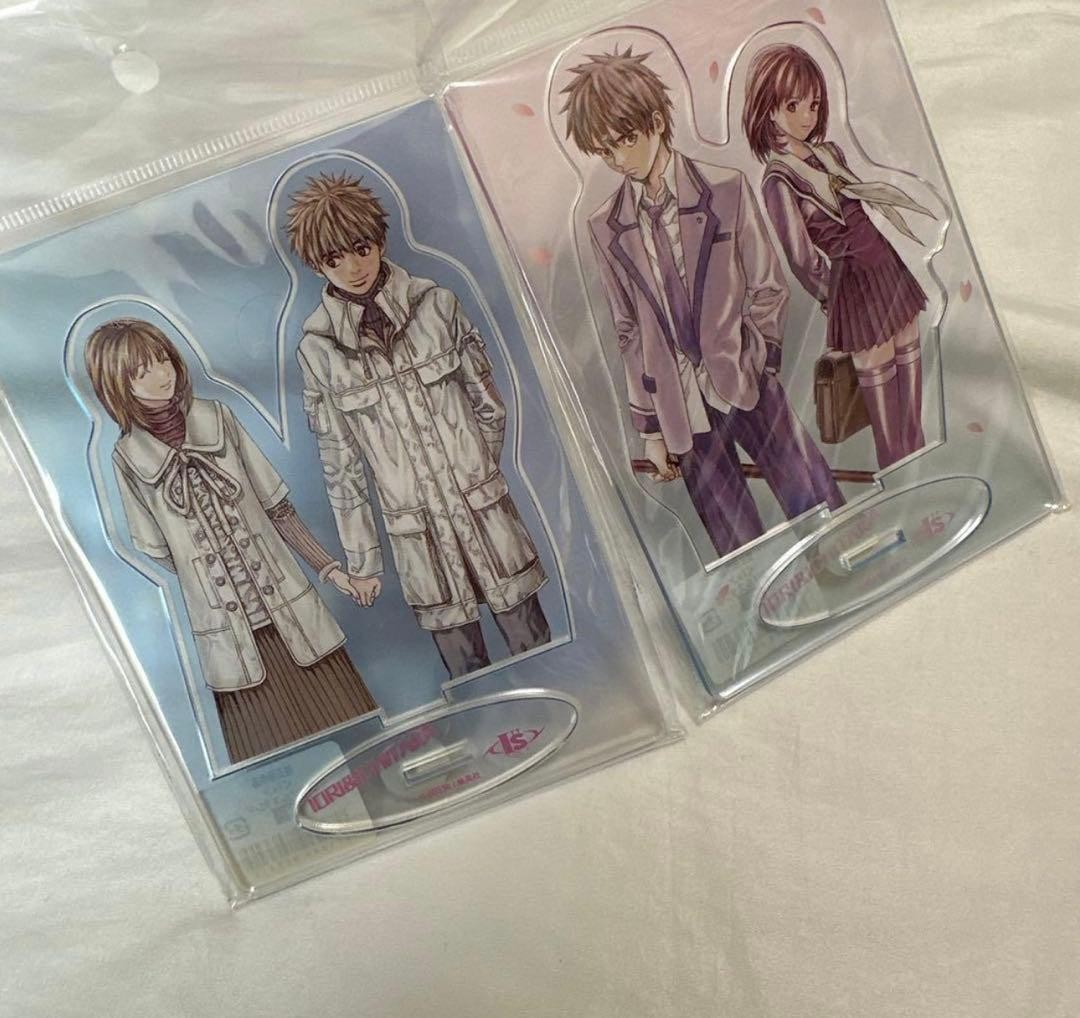 Out of print Jump I"s Eyes I's Acrylic Stand Acstar Masakazu Katsura