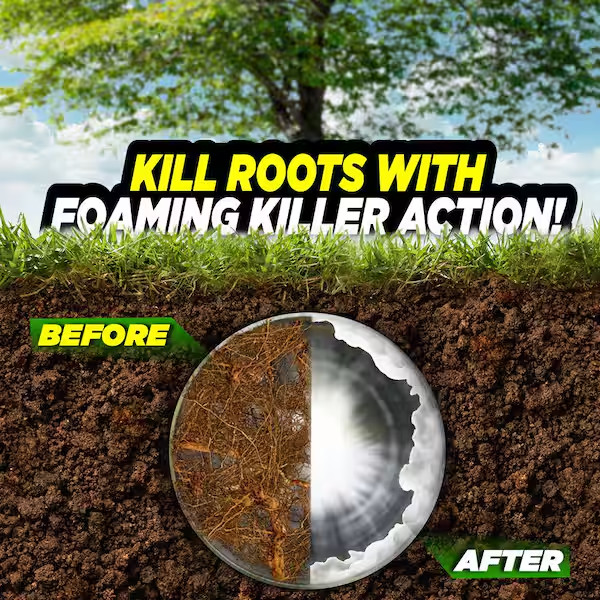10 lbs. Foaming Root Killer Drain Cleaner
