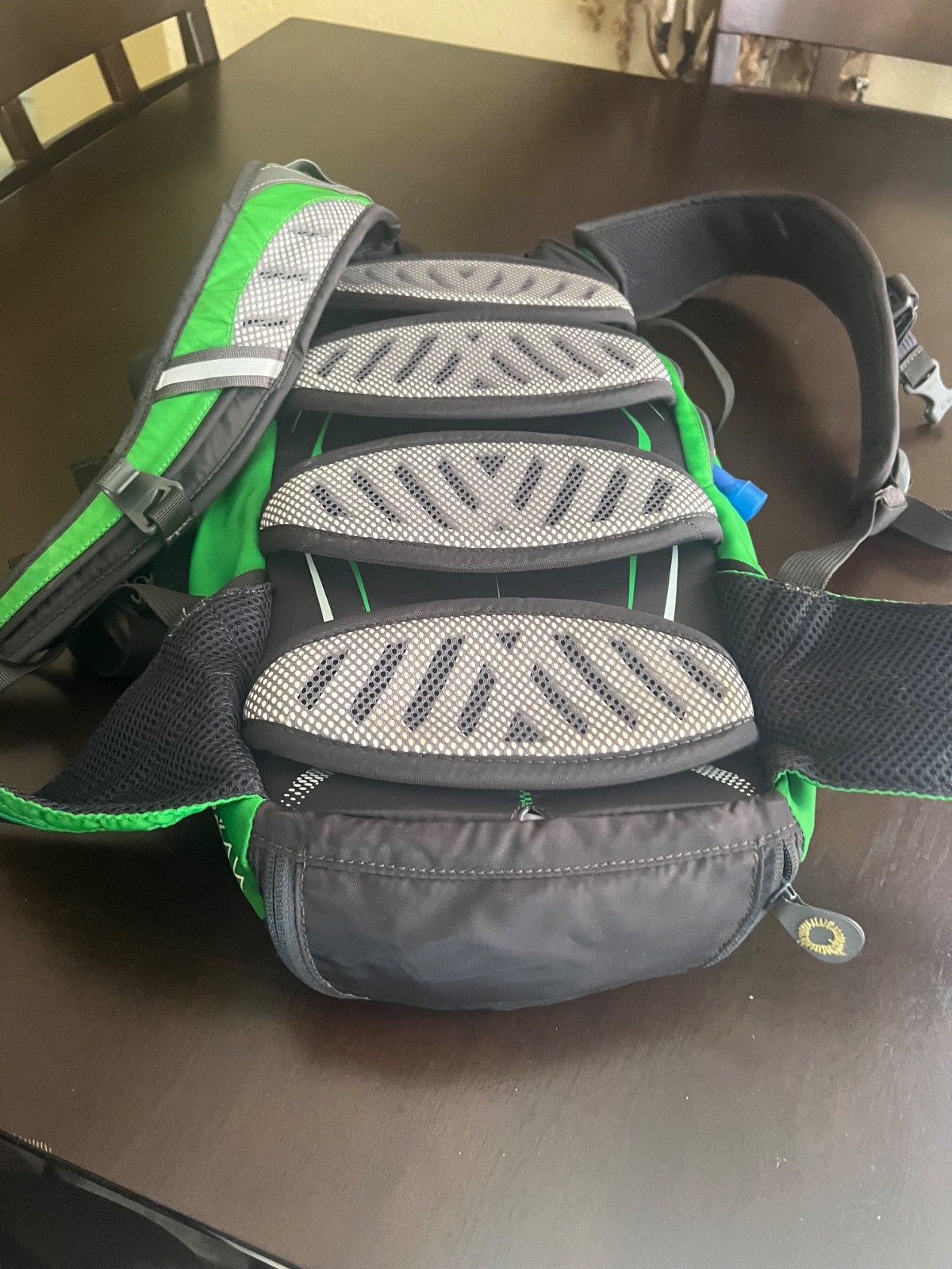 CamelBak Green Black and White Hydration Backpack