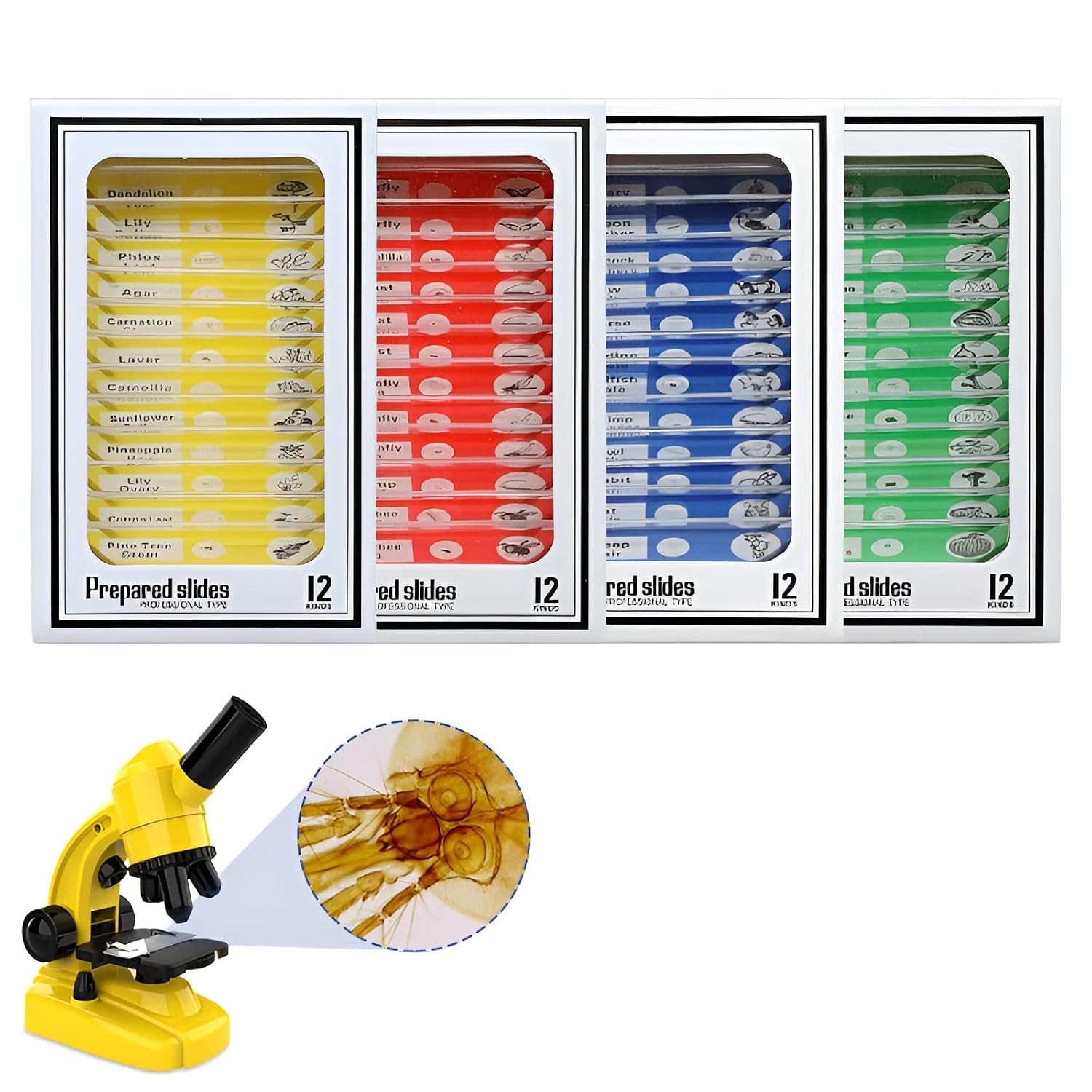 48pcs Microscope Slides with Specimens for Kids – Kids Prepared Stereo Microscop