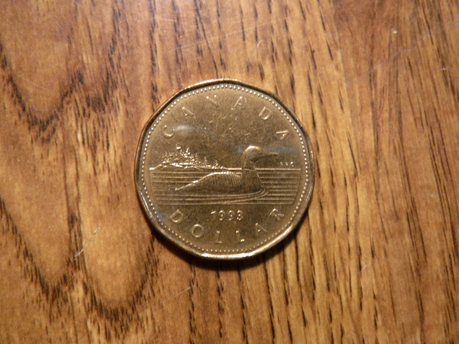 CANADA DOLLAR 1993 COIN (T555)
