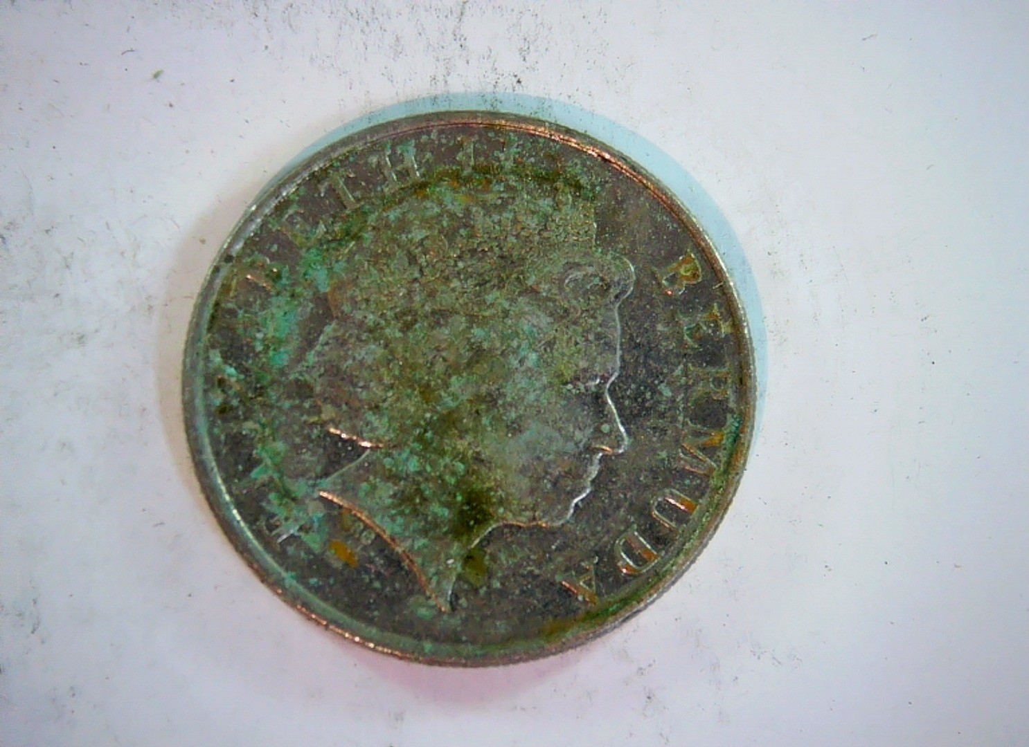 Bermuda 2020 5 Cents Bermuda 5 Cents (Queen Elizabeth II; bird reverse) Coin