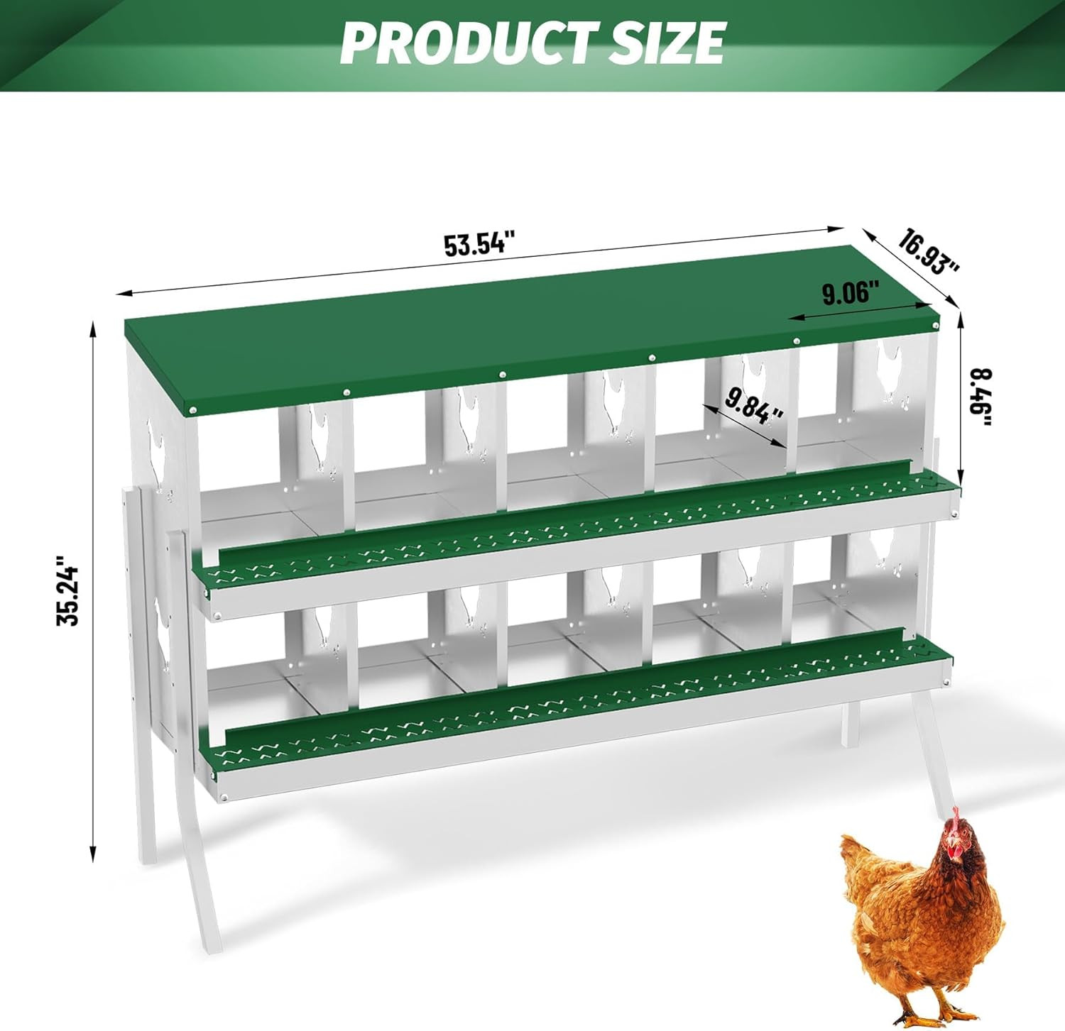 10 Compartment Chicken Nesting Box Metal Easy Collection & Cleaning W/ Legs