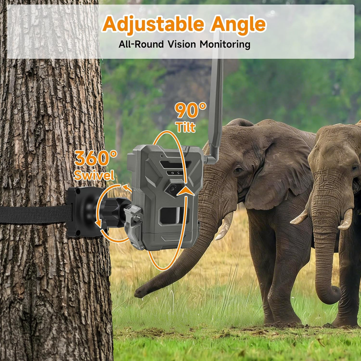 Trail Cameras Mount, Holder for Game Camera, Outdoor Camera Mounting Bracket wit