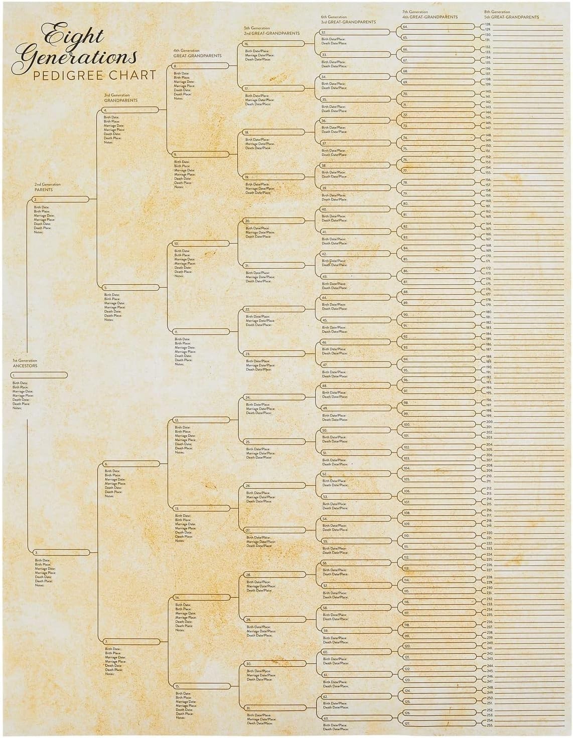 15 Pack Family Tree Charts to Fill in - Blank 8 Generation Genealogy Poster for
