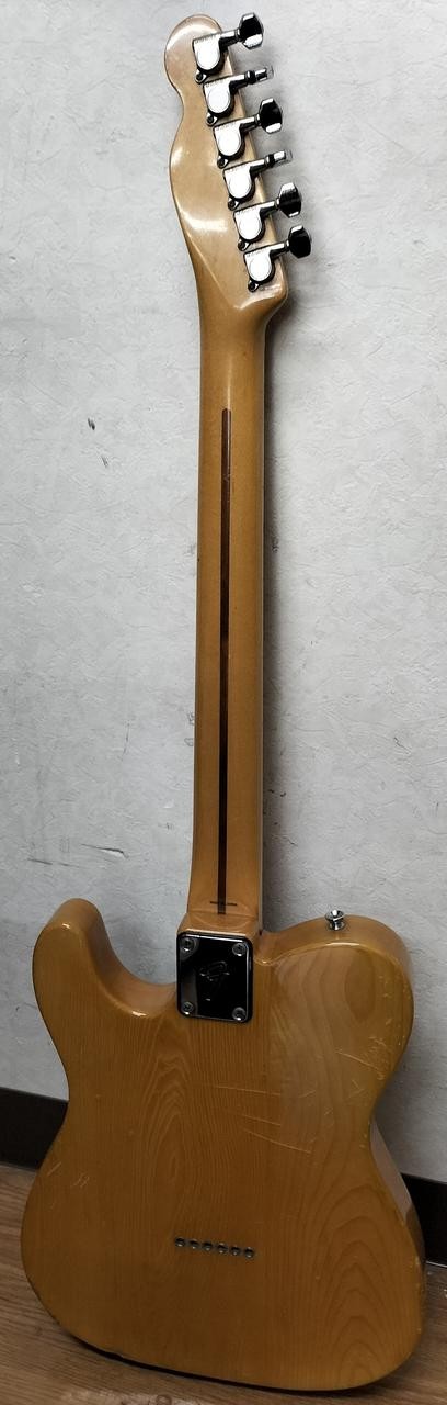 FENDER TL72-55 (NO251005)