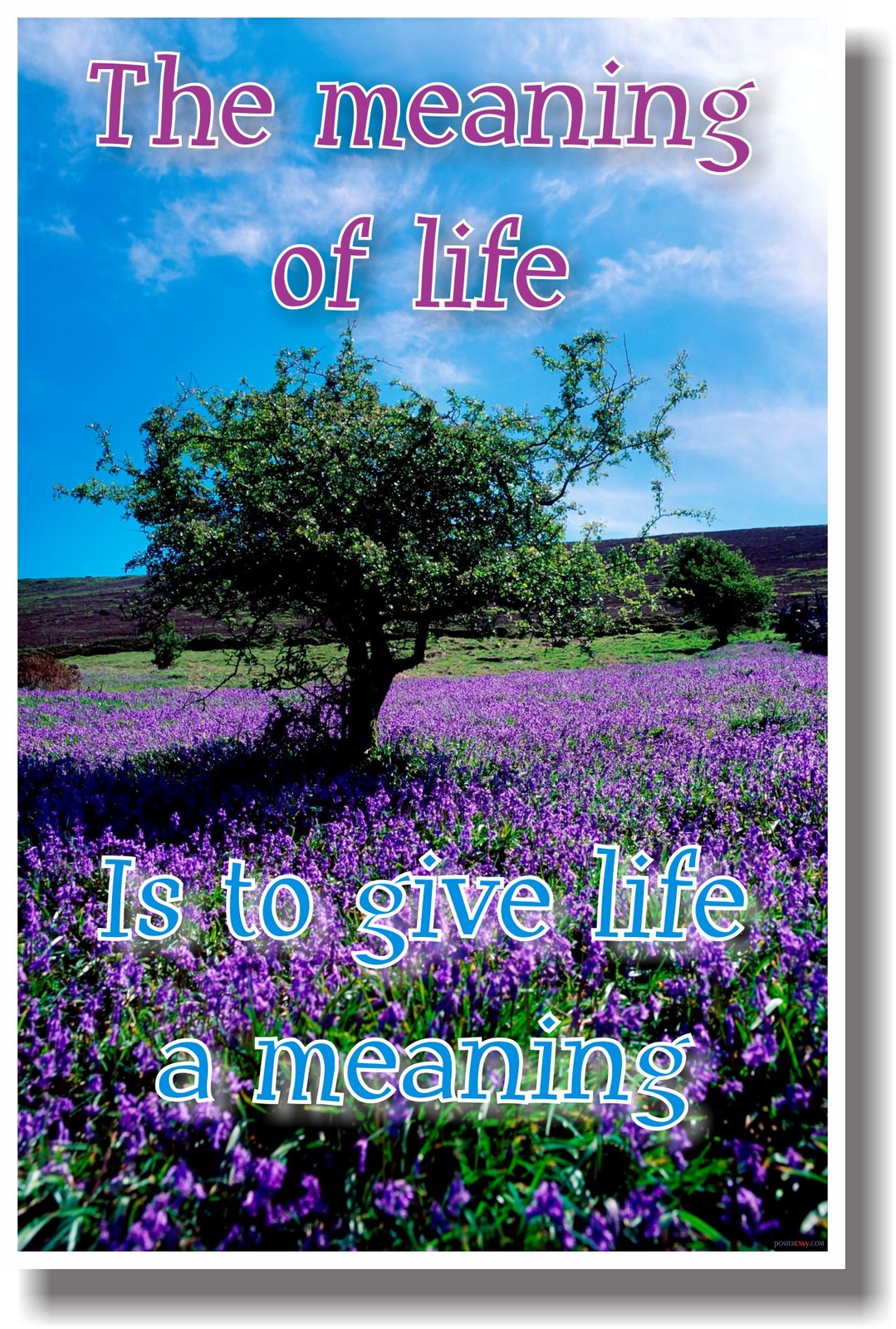 The Meaning of Life Is to Give Life a Meaning - New Classroom  Poster