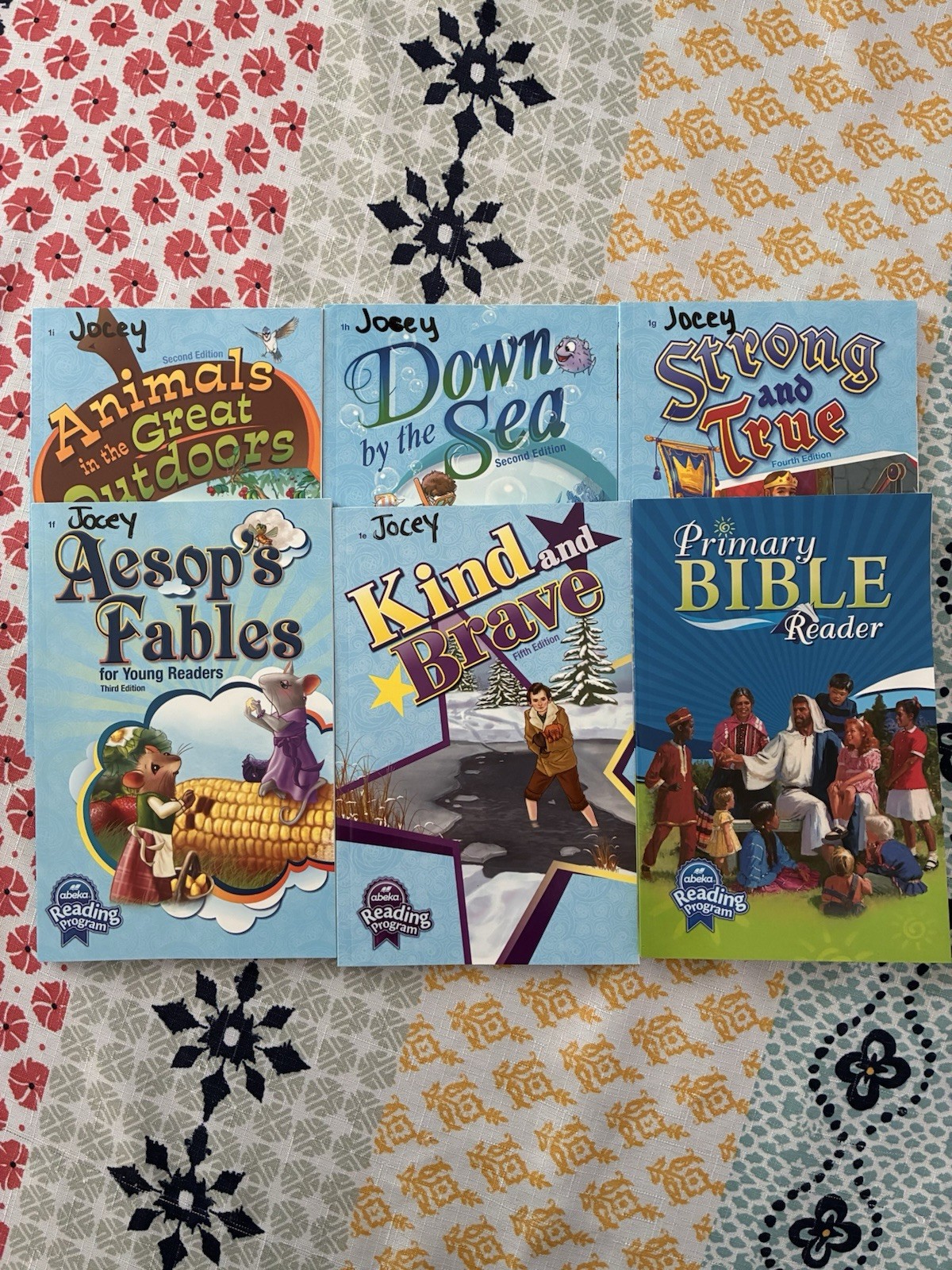 Abeka 1st Grade Student Readers New/Used Clean (b)