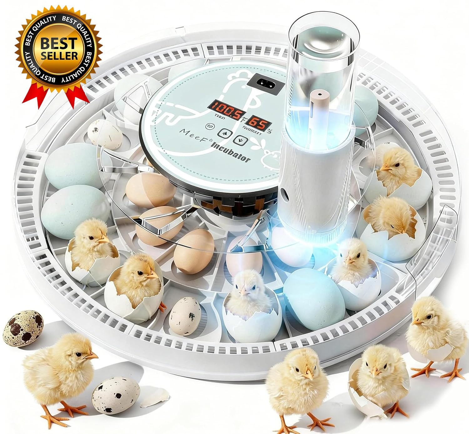 Egg Incubator for Hatching 28 Eggs, Auto Flip, Independent Atomizing Humidifier