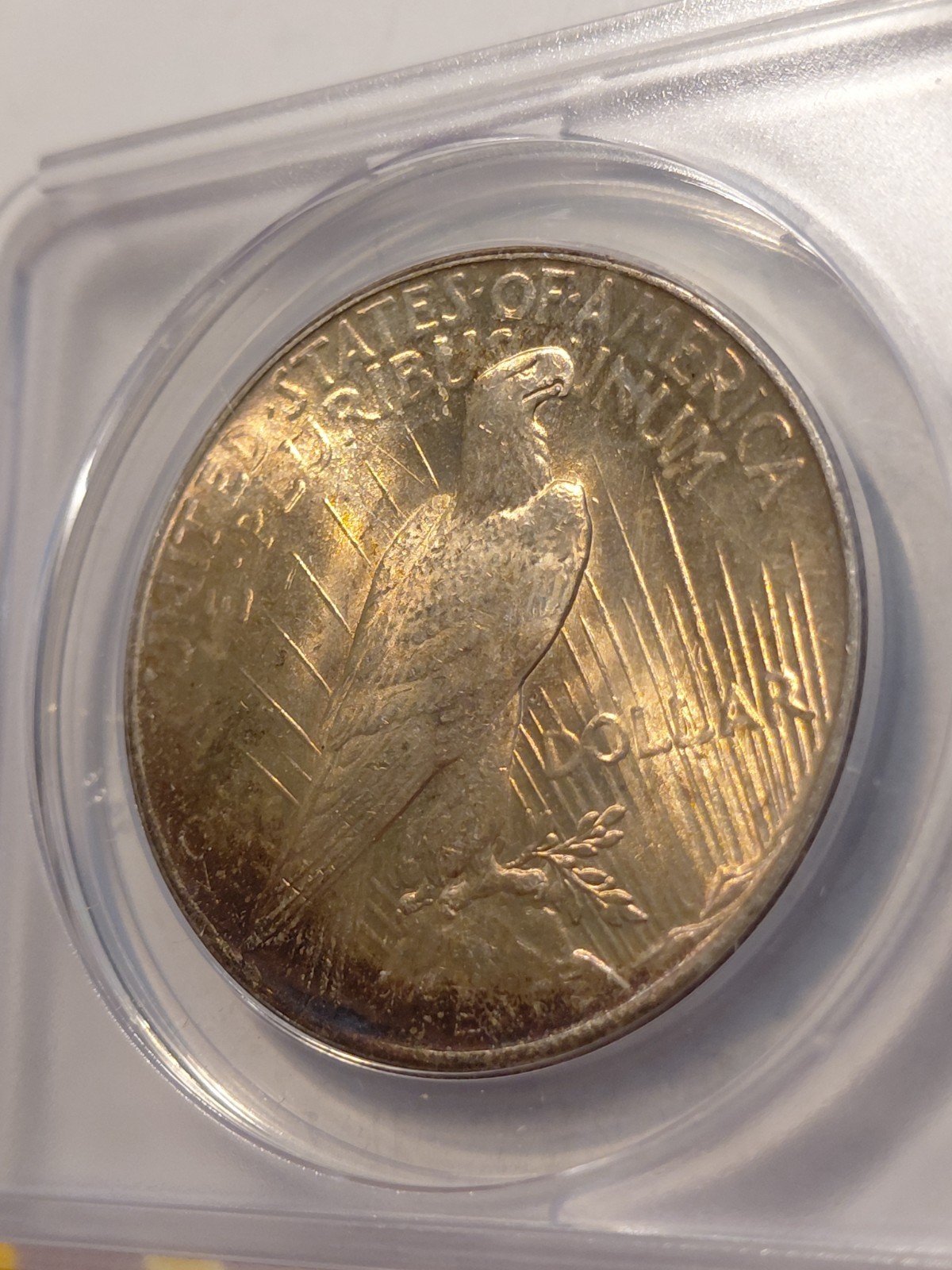 1925 Peace Dollar ANACS MS 63