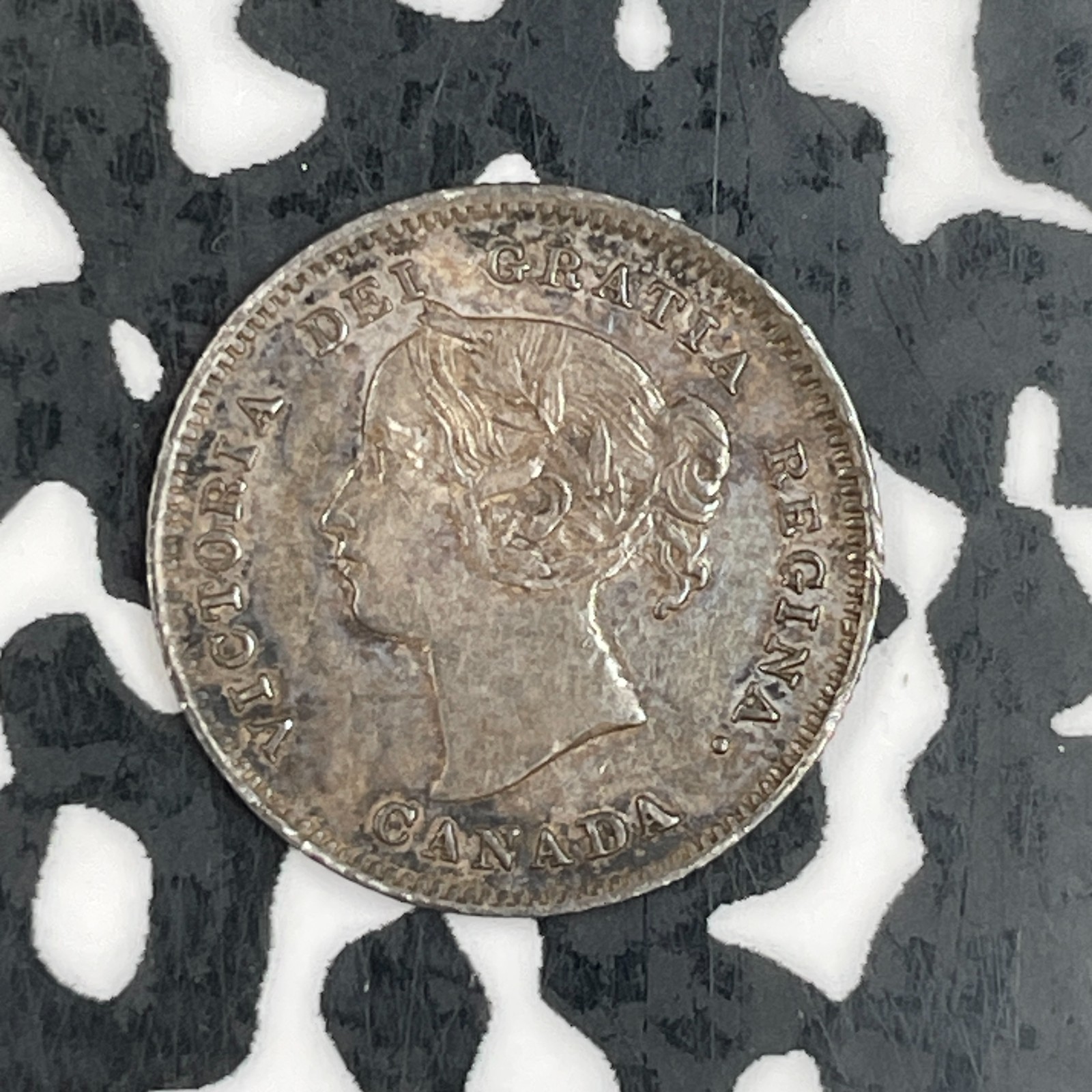 1901 Canada 5 Cents Lot#F6824 Silver! Nice!